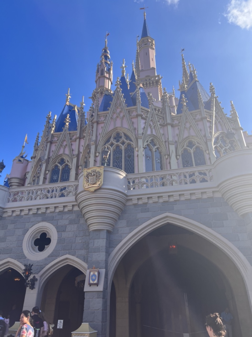 News from Walt Disney World Magic Kingdom