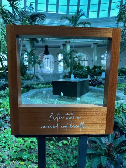 iberostar Grand Paraiso intro