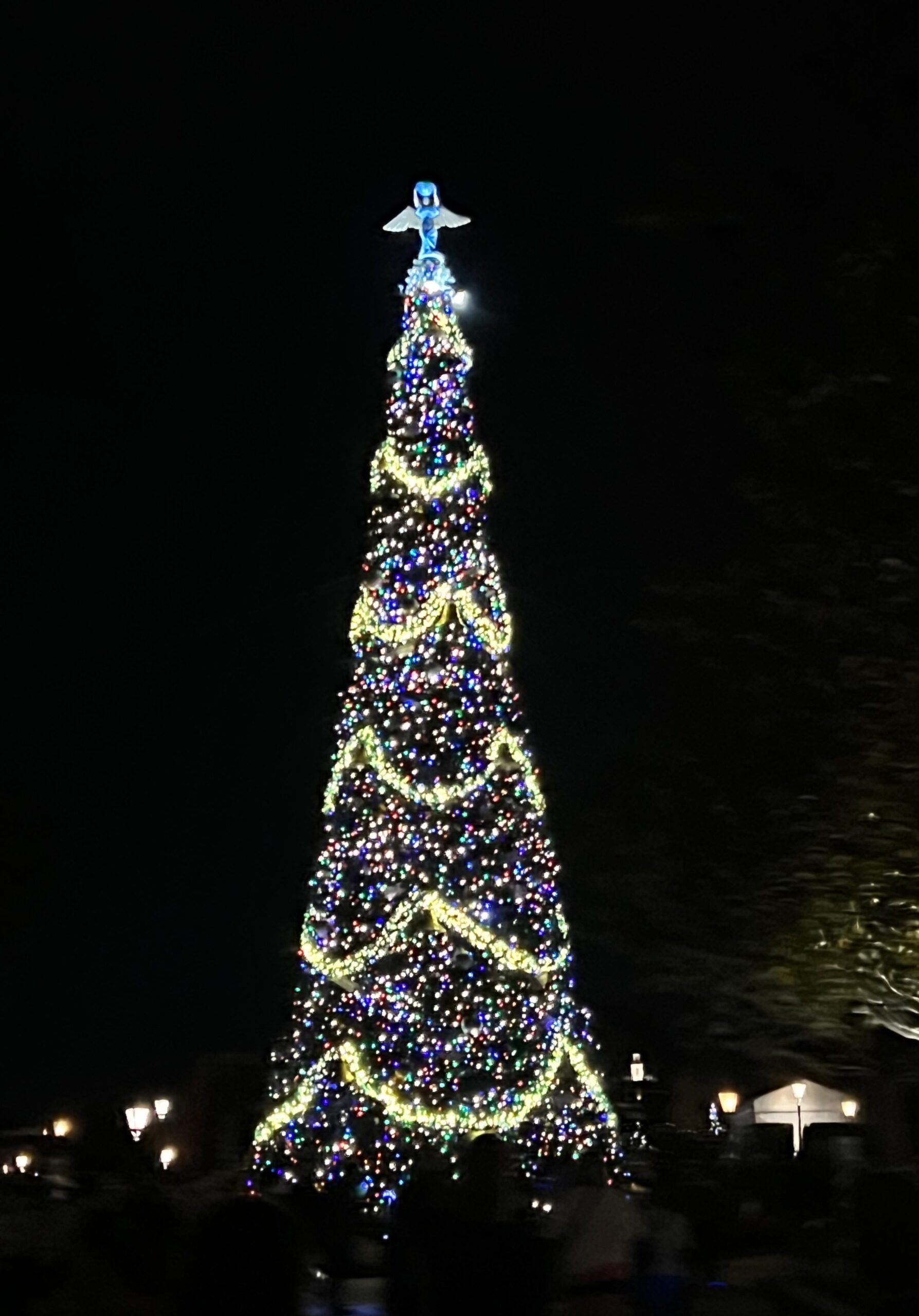 Festival of the Holidays Epcot