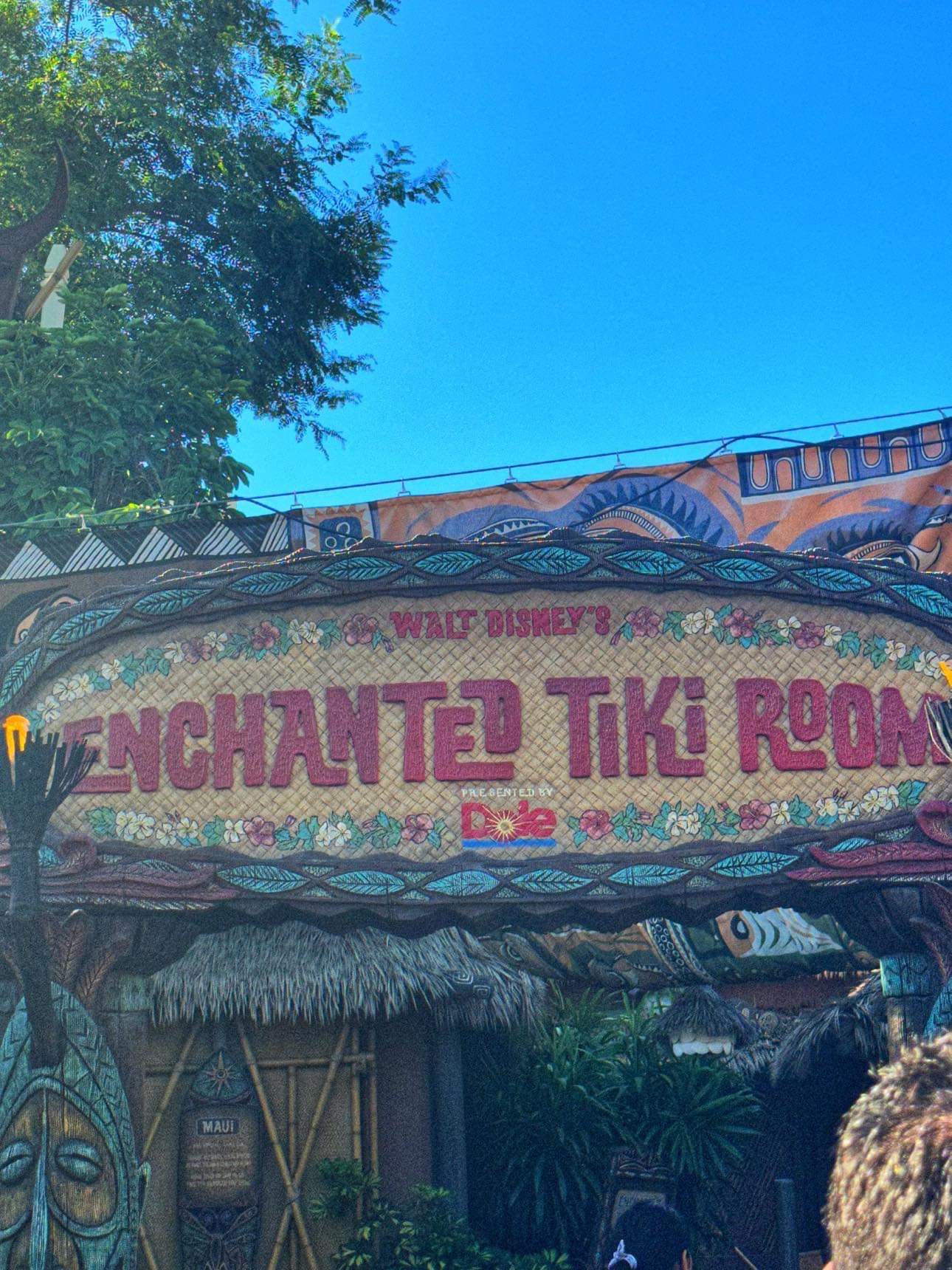 Tiki Room Disneyland Rides for Toddlers