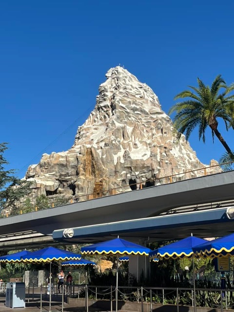 Thrill Rides at Disneyland Matterhorn