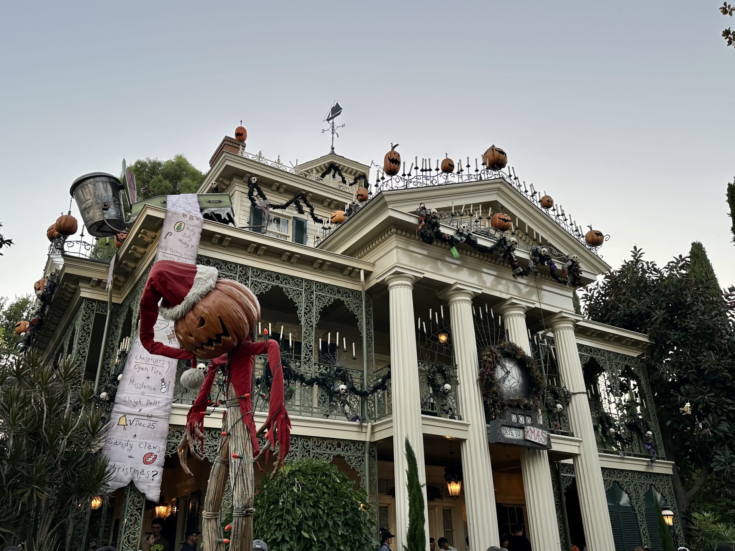 Traveling Alone at Disneyland