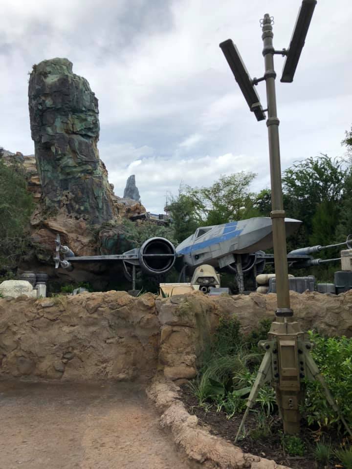 New Capture Your Moment Location