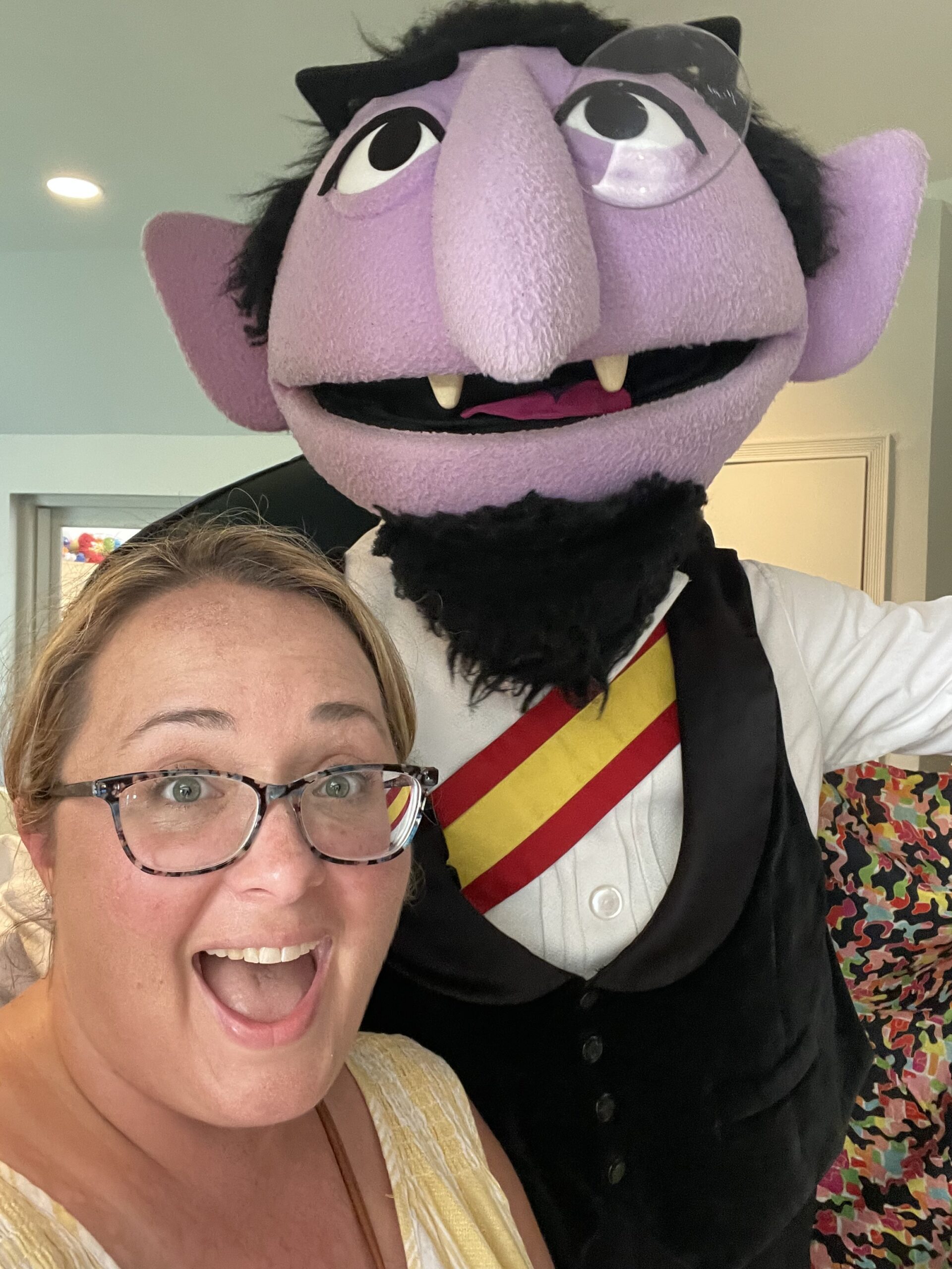 The Count Sesame Street Beaches