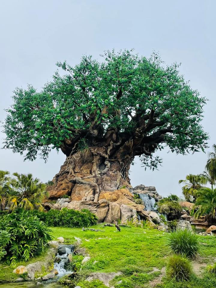 30th Anniversary of "The Lion King"