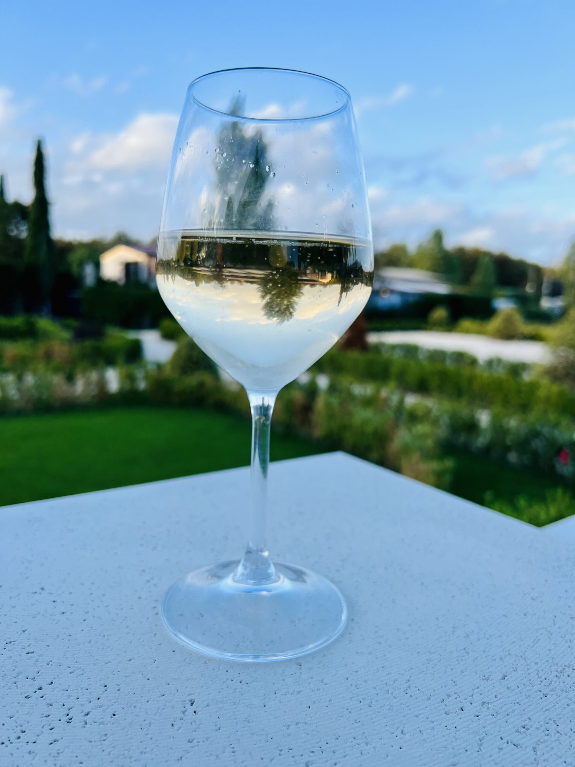 Amazing Food and Wine Tour of Italy