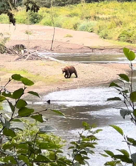 Celebrity Cruises Alaska Land Tours