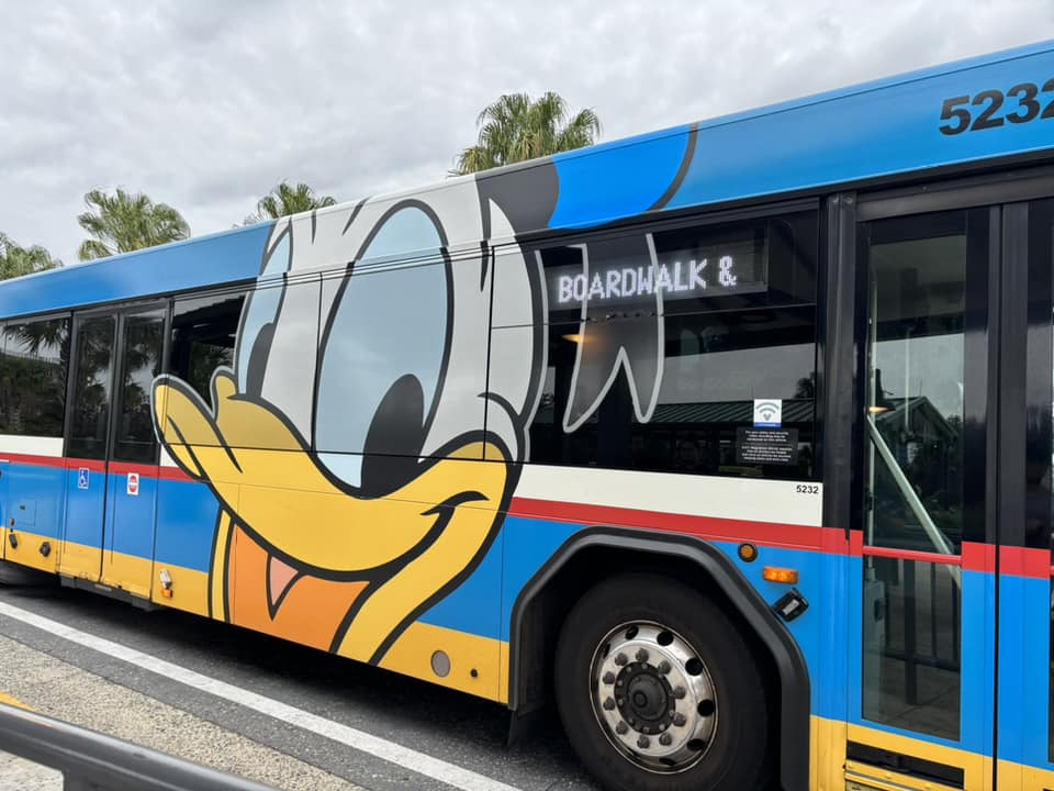 WDW Bus Onsite Transportation at Walt Disney World