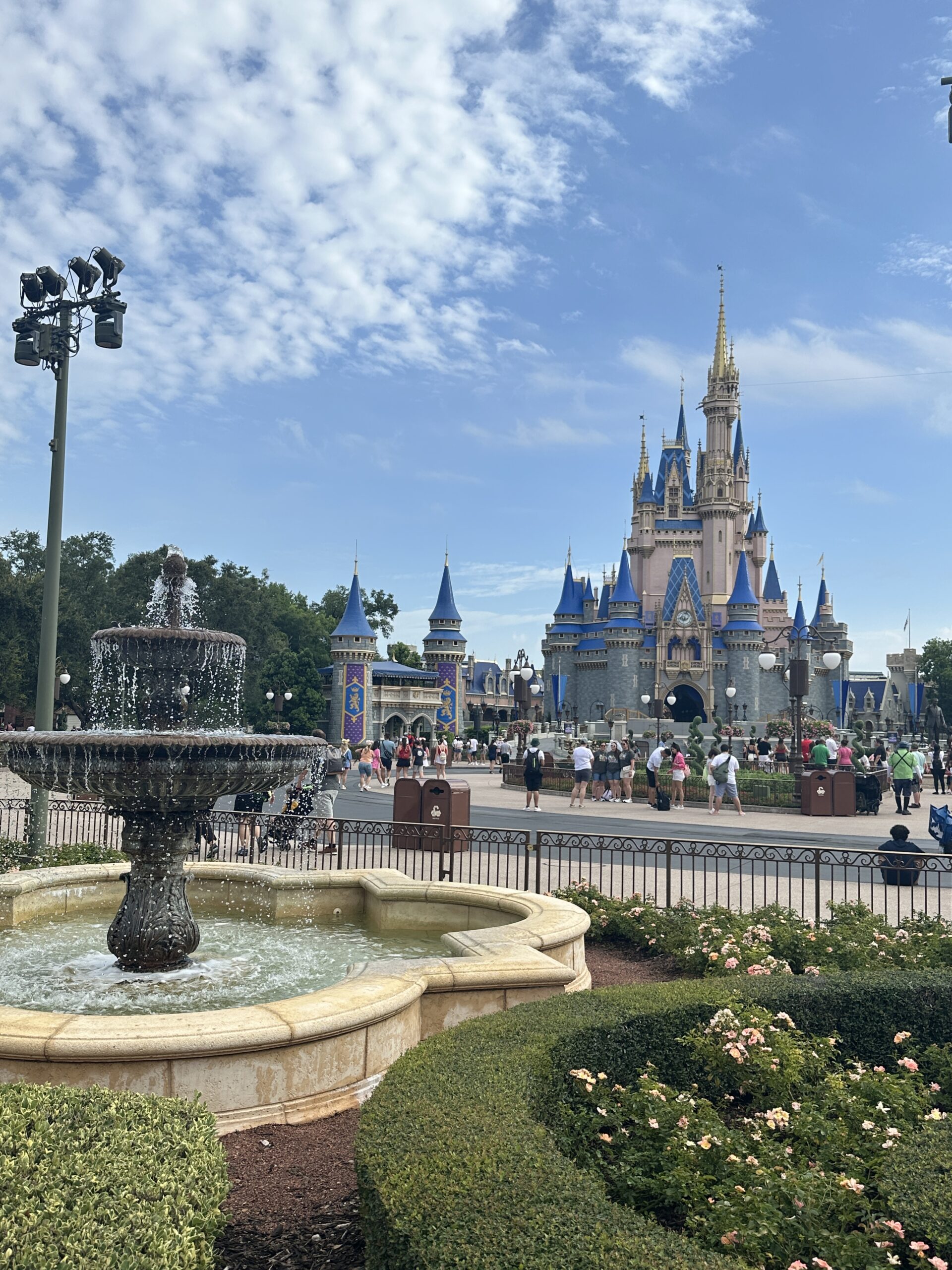 Magic Kingdom in Summer