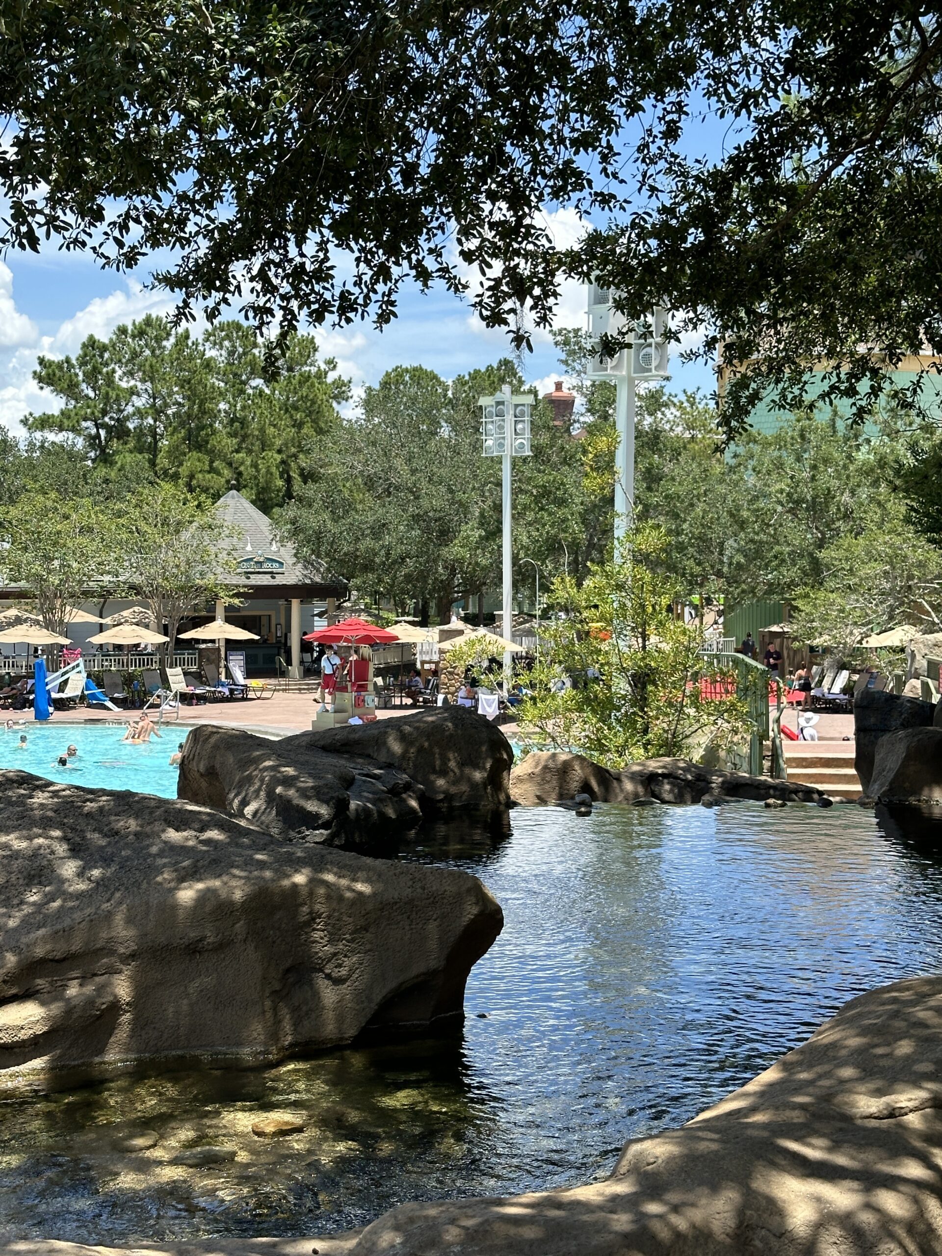 Saratoga Springs Pool