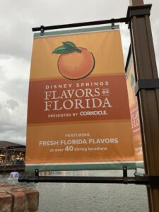 Why You Need to Go To Disney World NOW Flavors of Florida