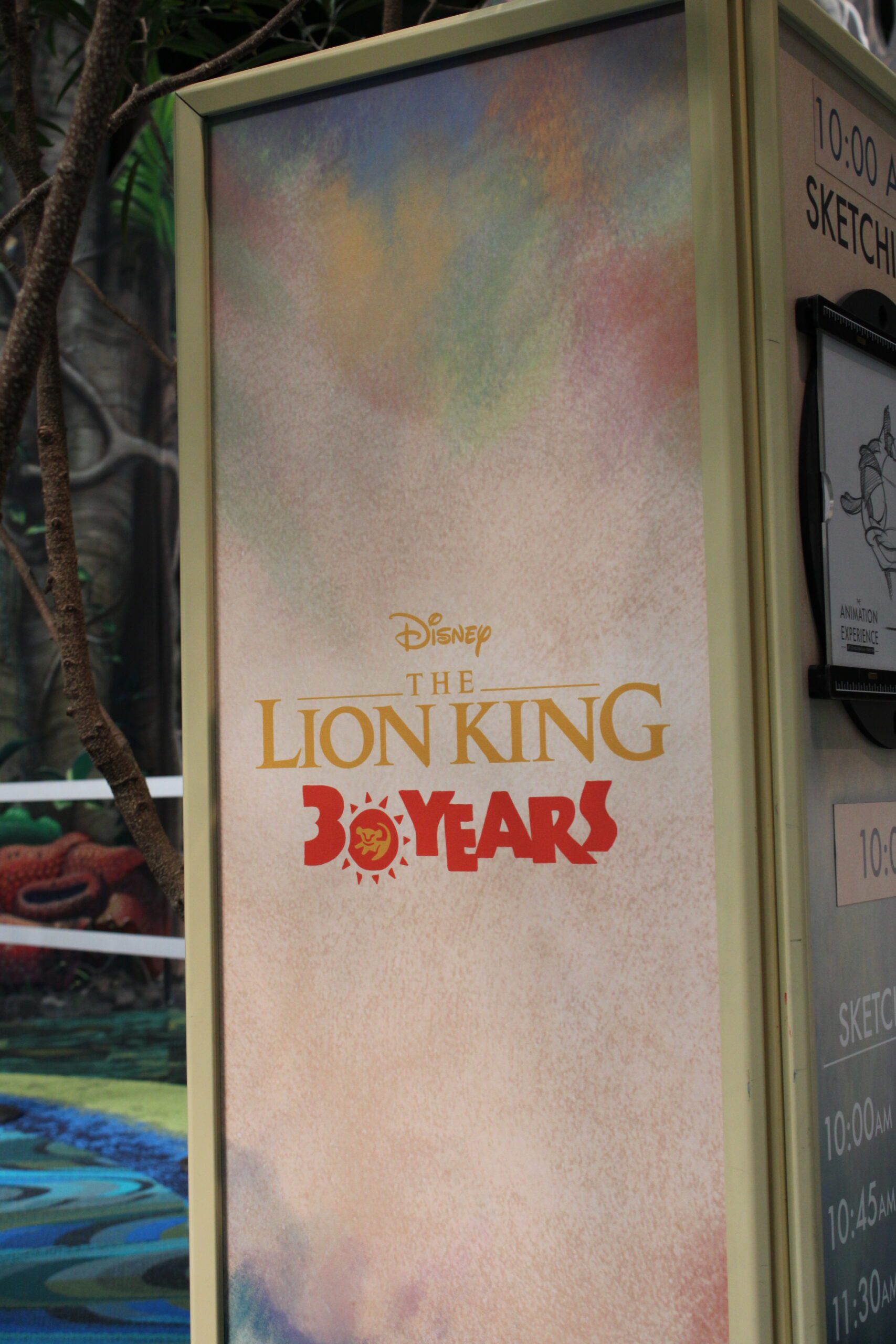 Why You Need to Go To Disney World NOW