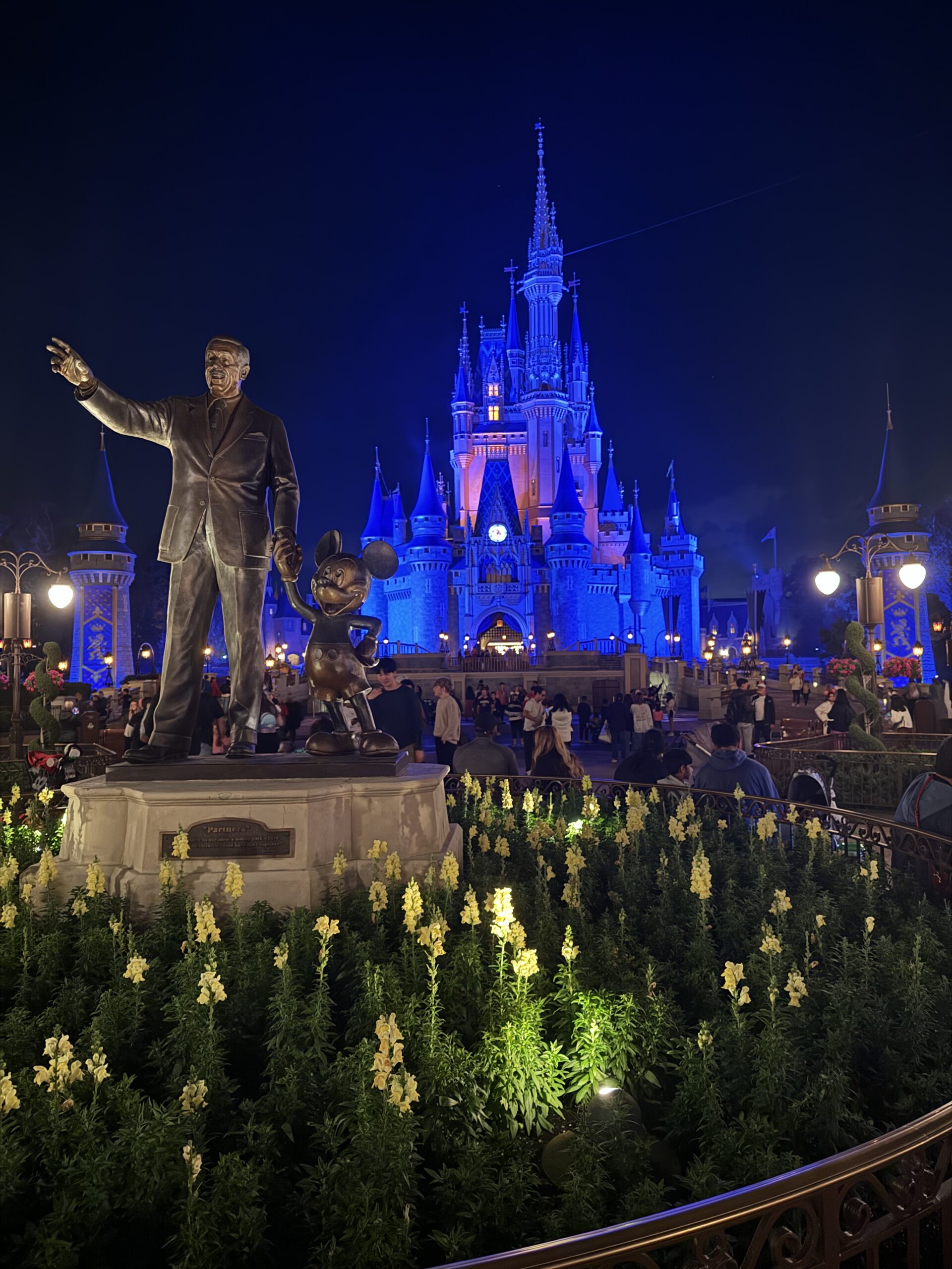 Disney Cruise or a Disney Theme Park Vacation?