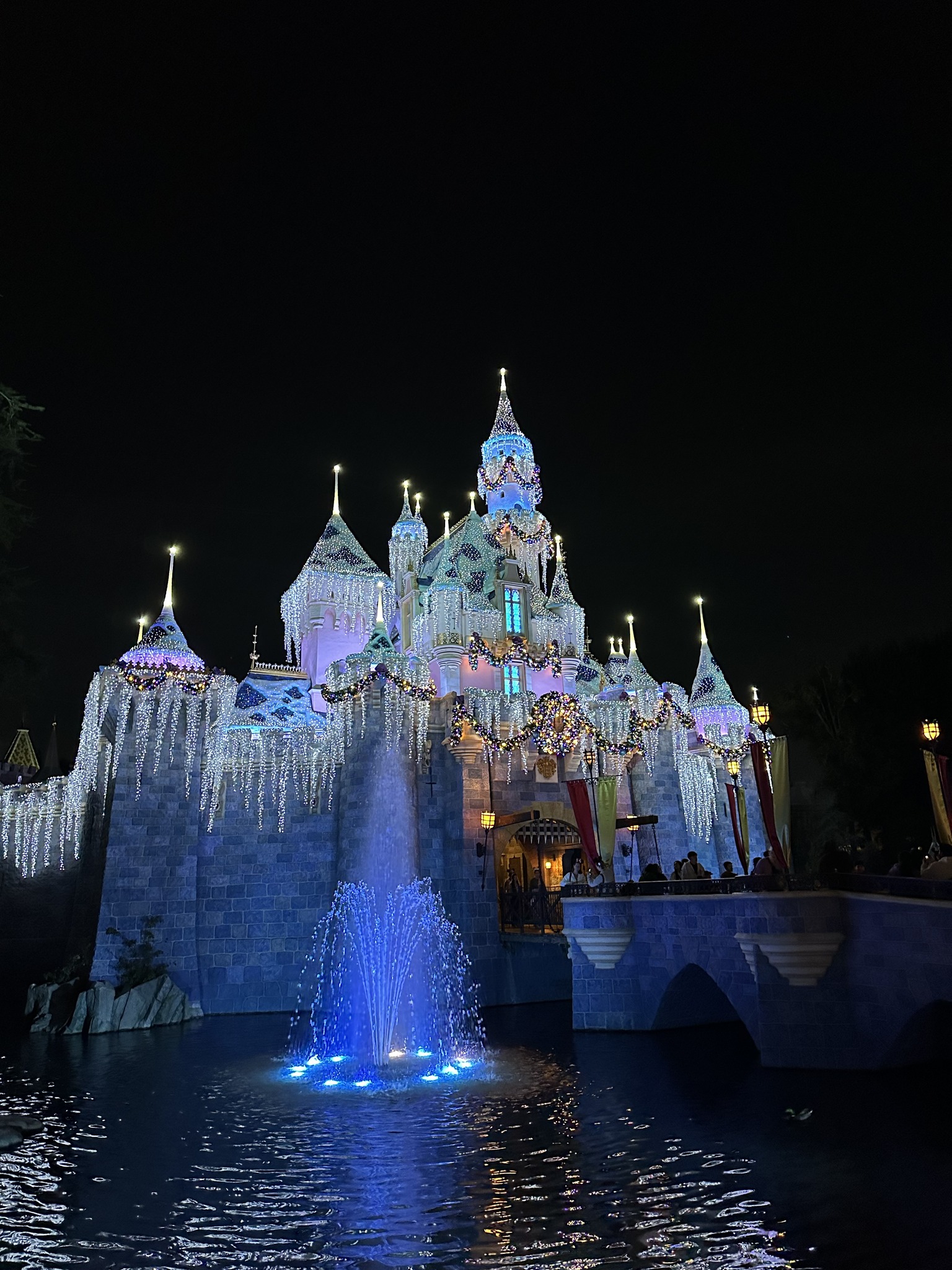 Holiday Entertainment at the Disneyland Resort Castle