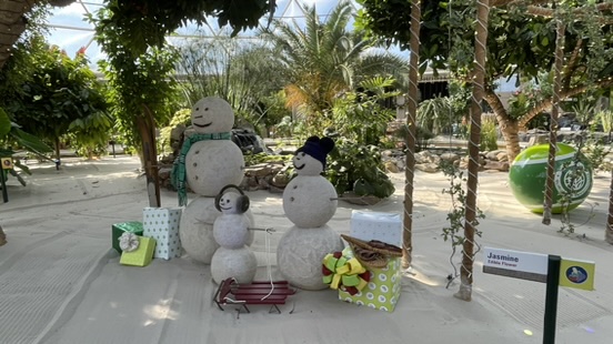 Glimmering Greenhouse