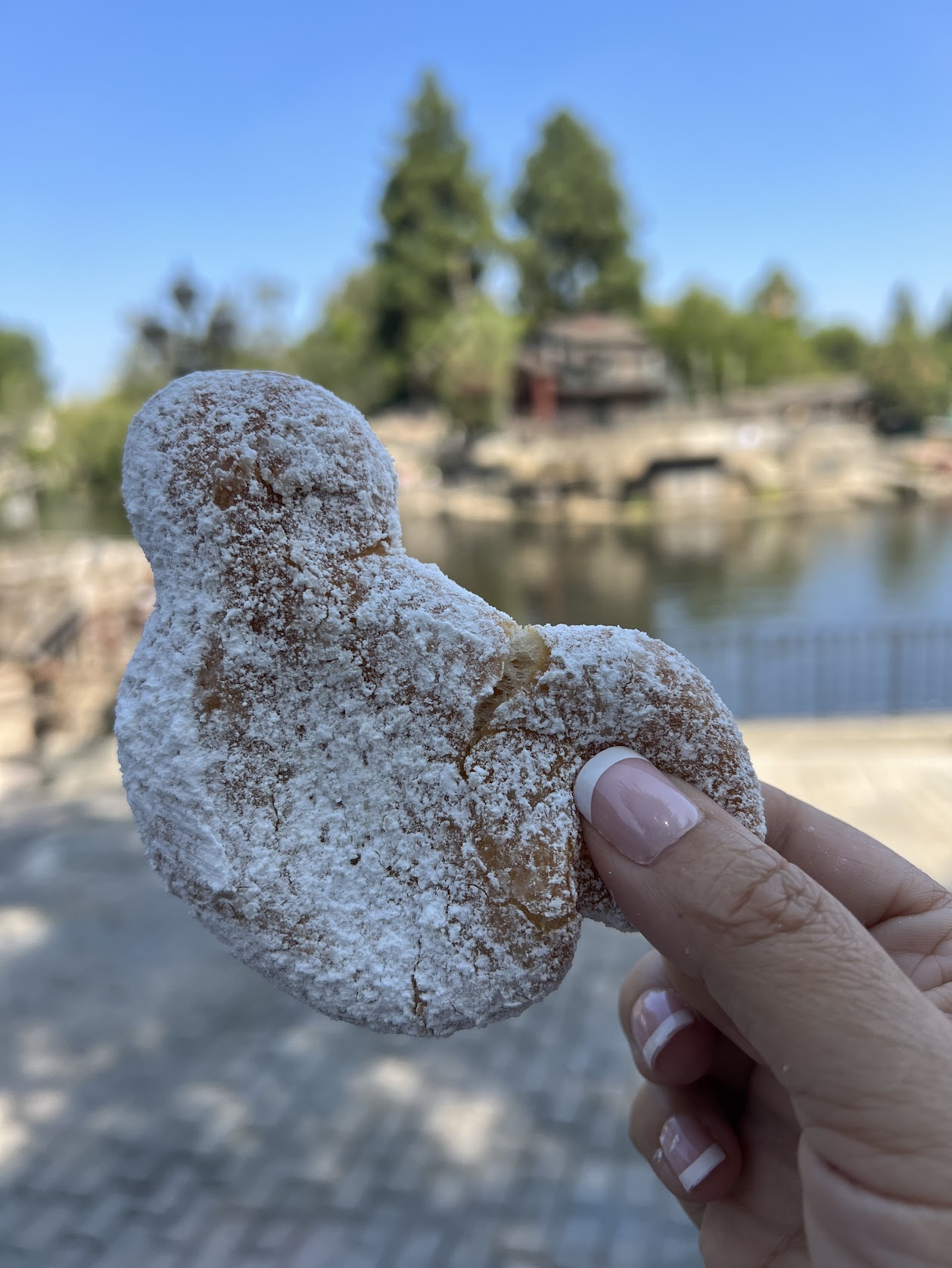Mickey-Shaped Beignets 5 Disneyland Must-Try Snacks