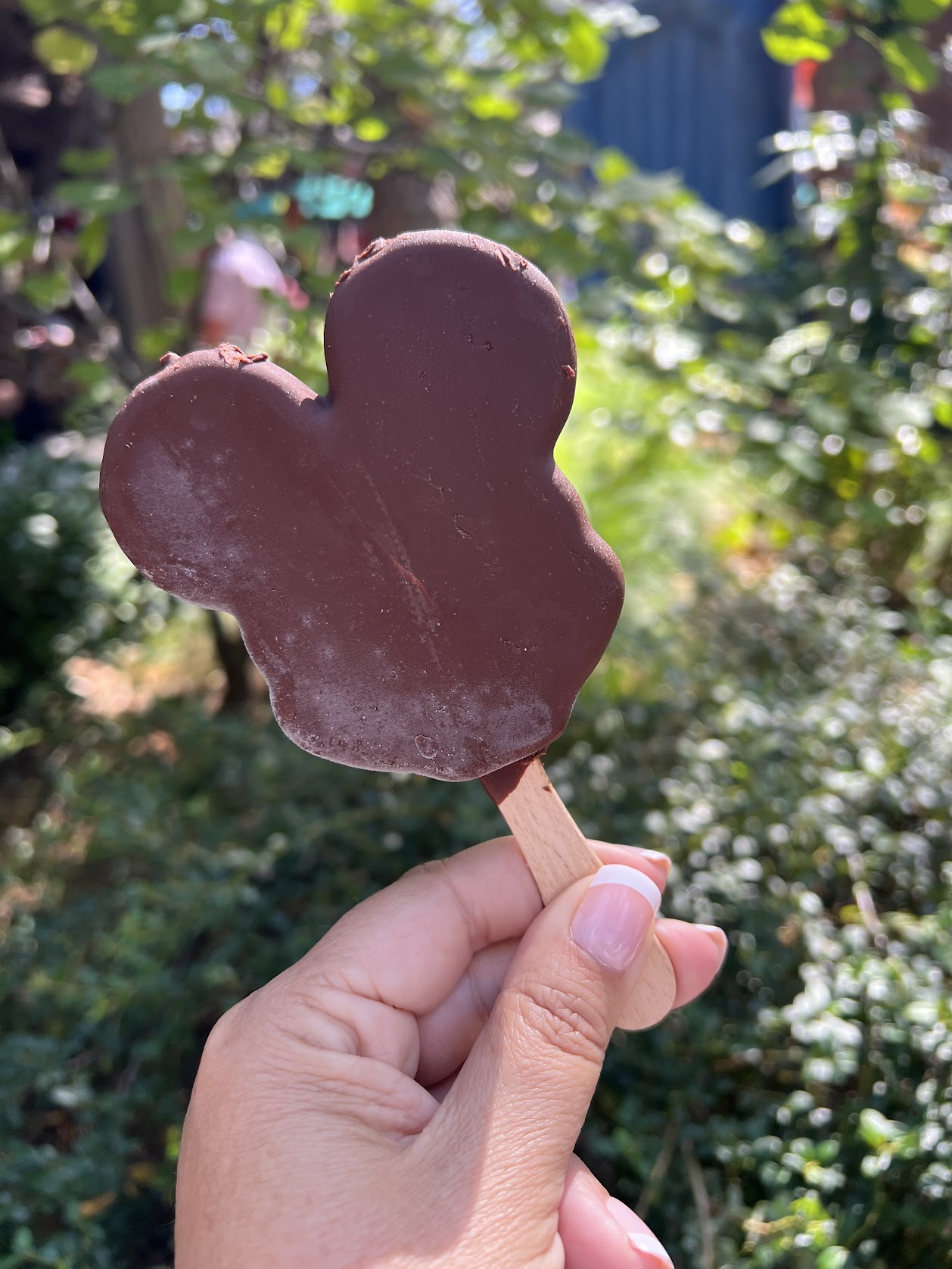 Mickey Ice Cream Bar 5 Disneyland Must-Try Snacks