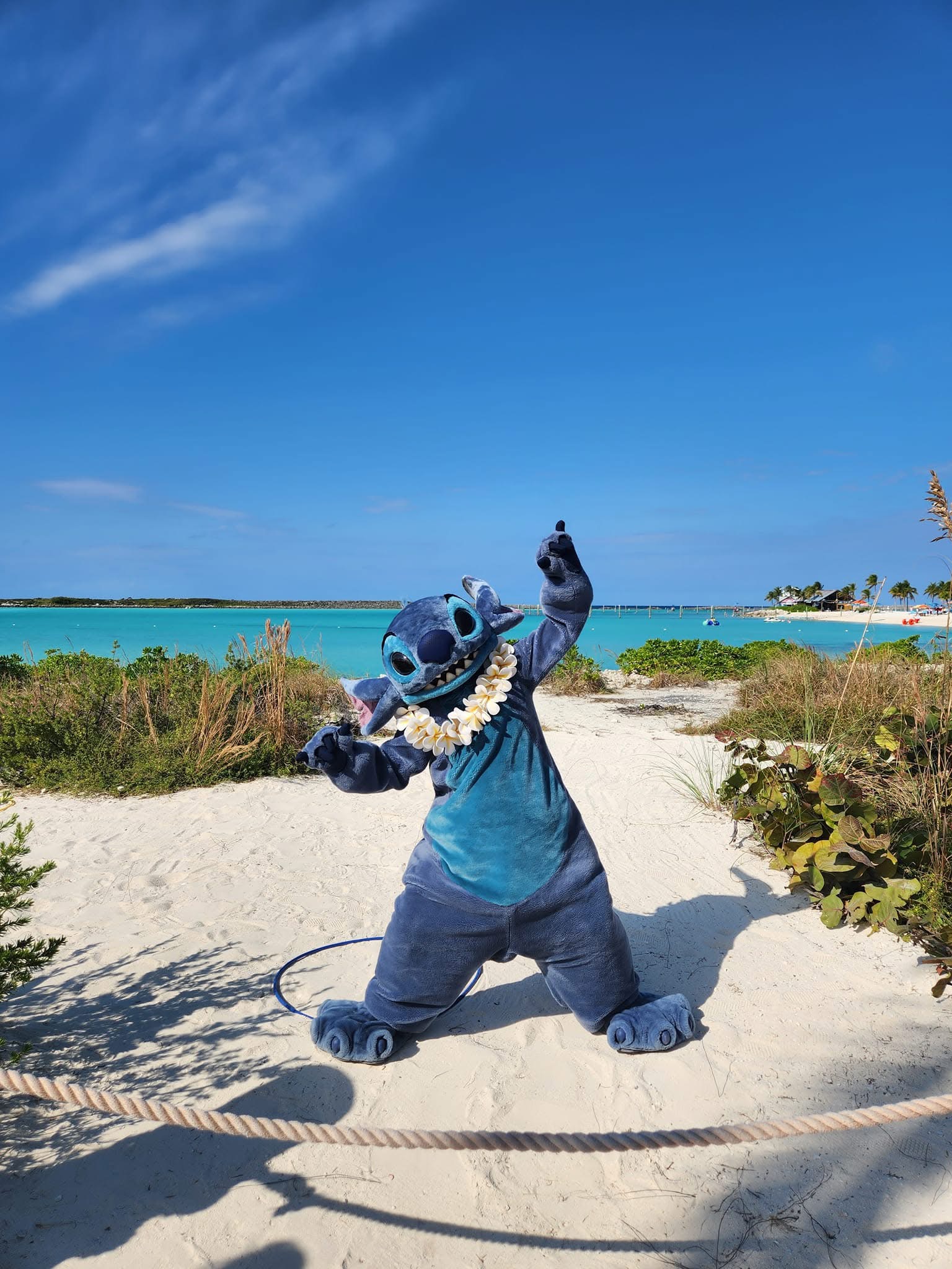 New Ships Coming for Disney Cruise Line