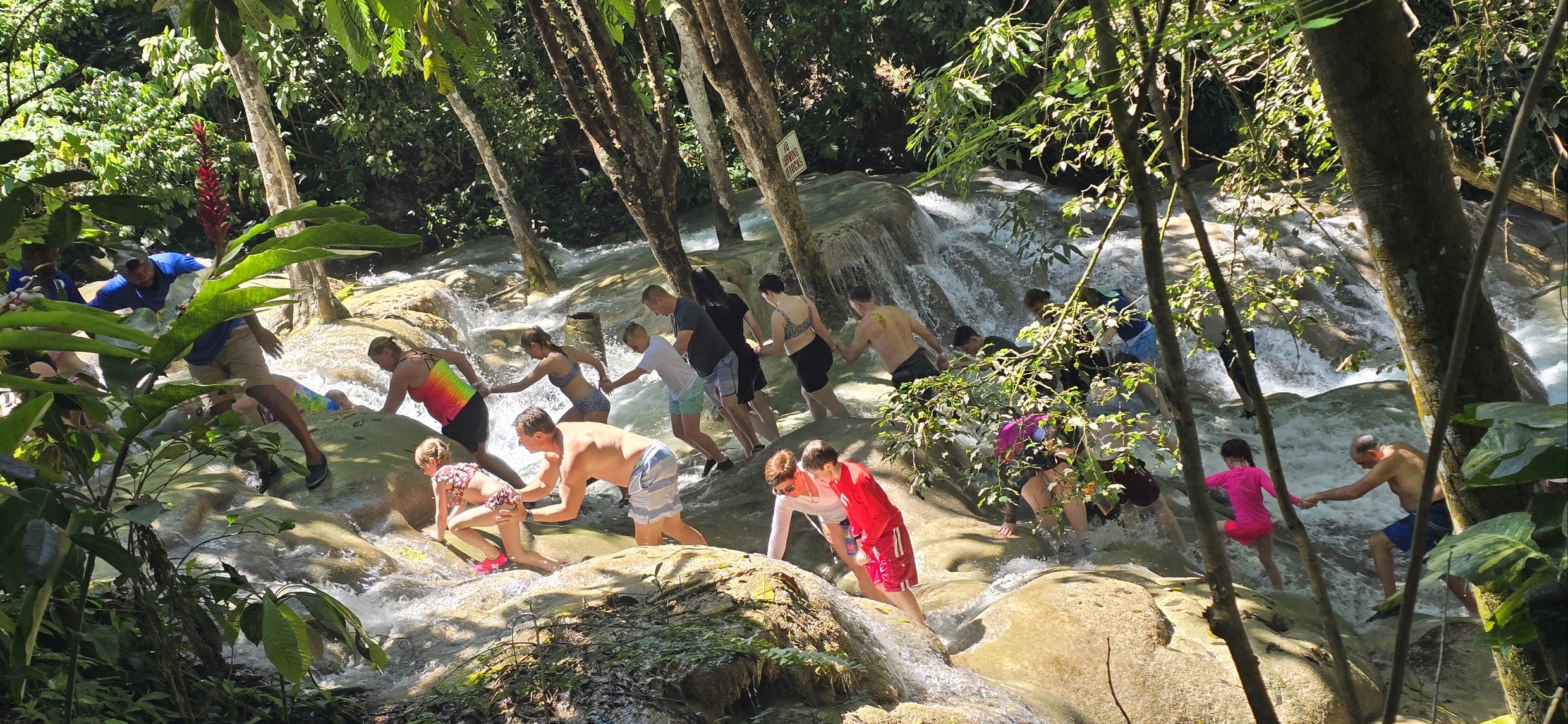Dunns River Falls