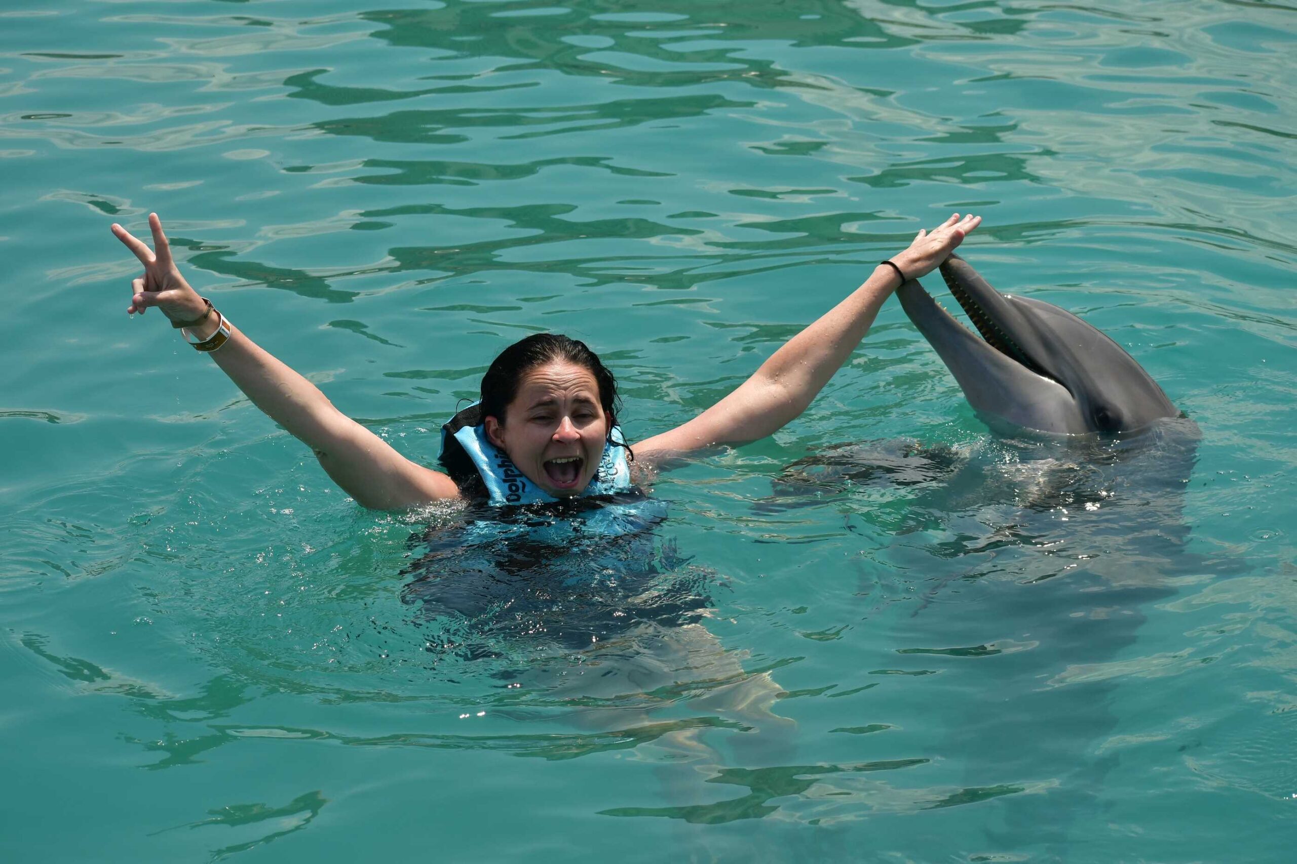 Dolphin Experience