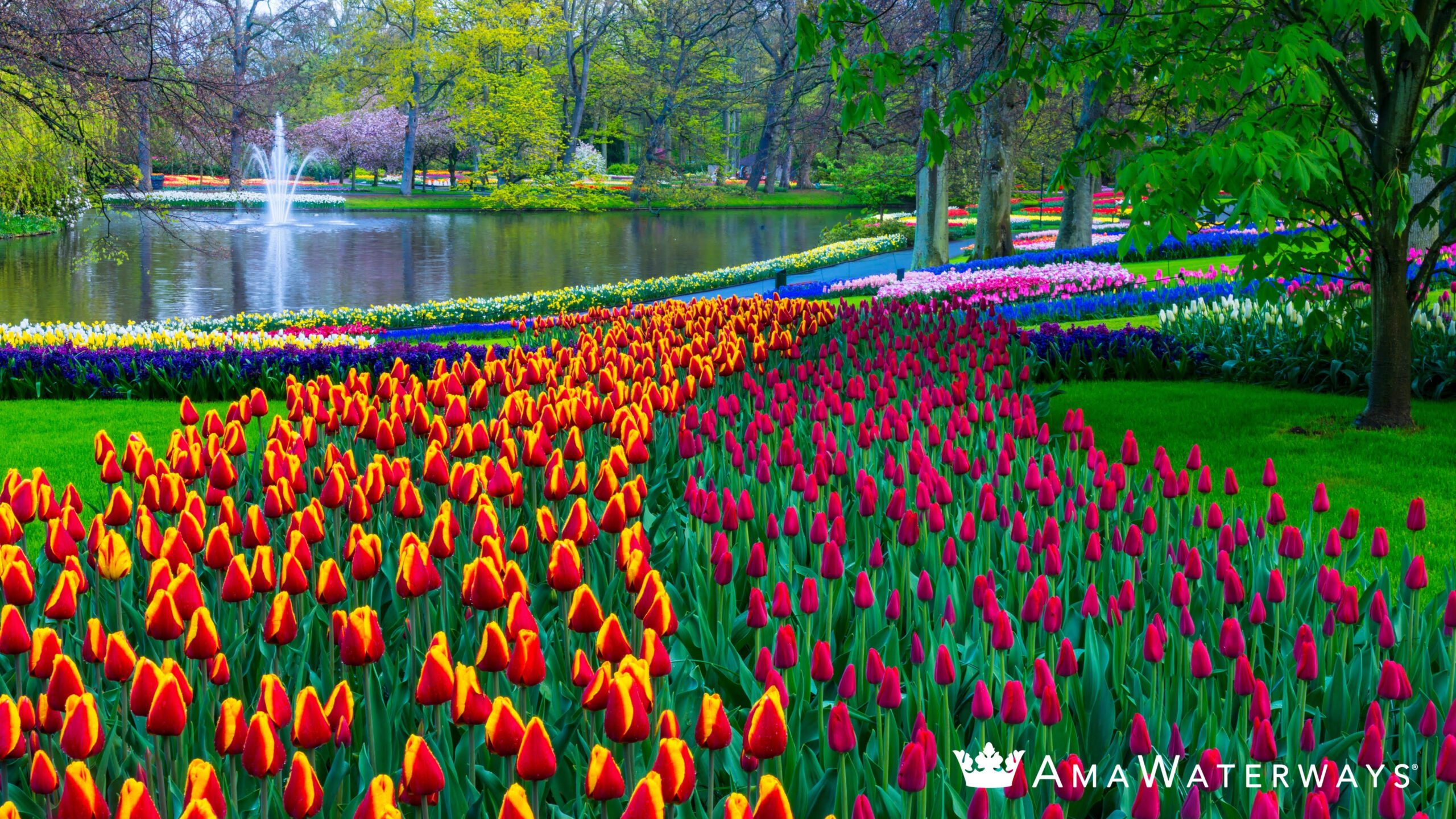 20 AmaWaterways Inclusions You’ll Absolutely Love!