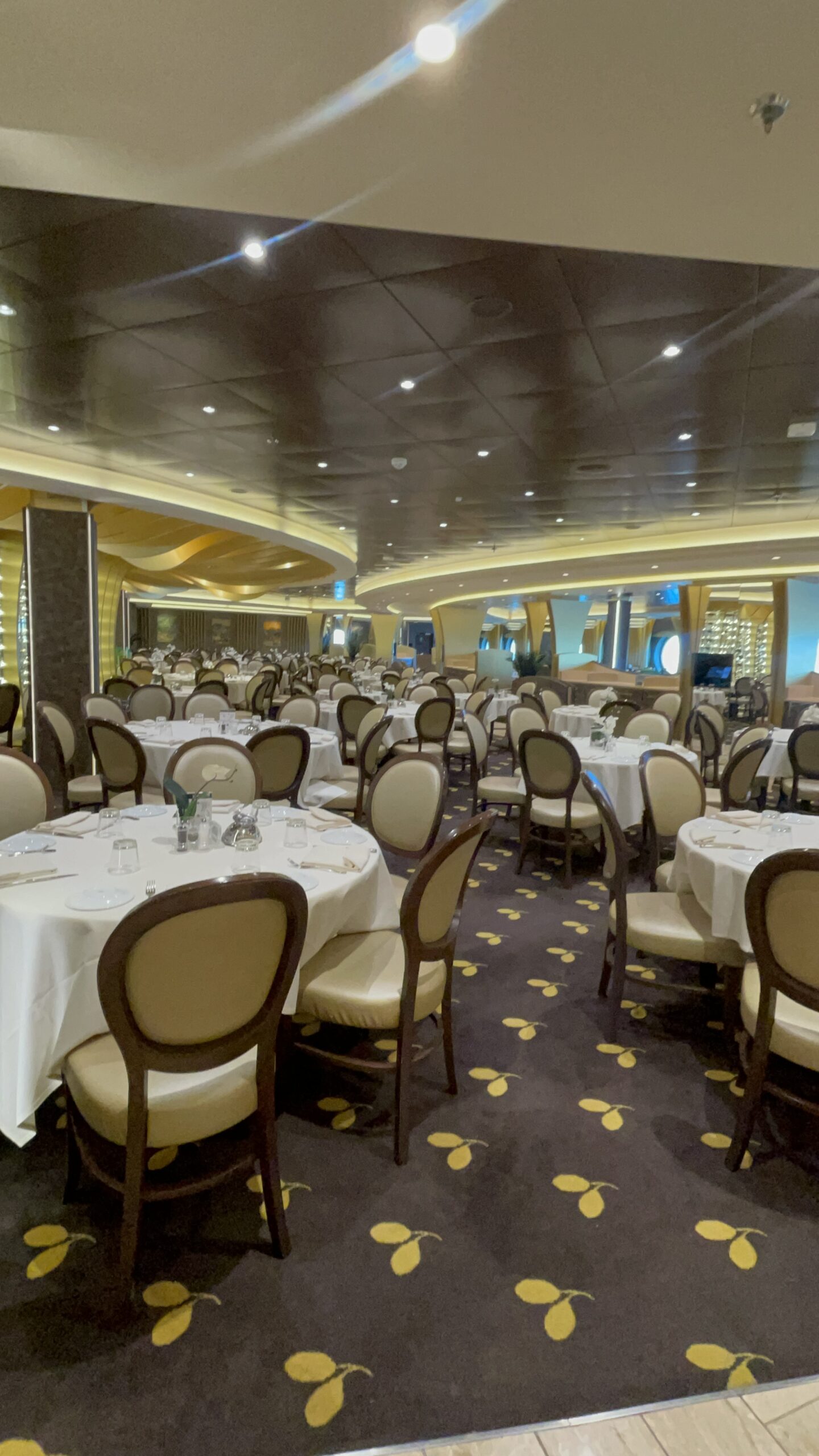 Let’s Explore MSC Meraviglia