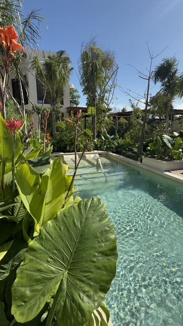 Secrets Playa Blanca Costa Mujeres Hydrotherapy