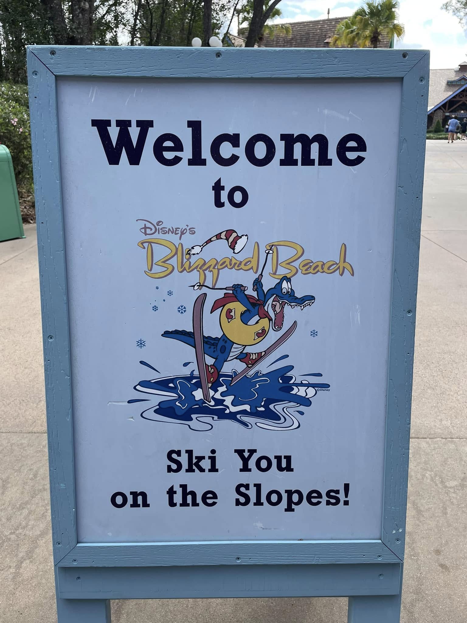 Both Water Parks at Disney World Will Open This Summer