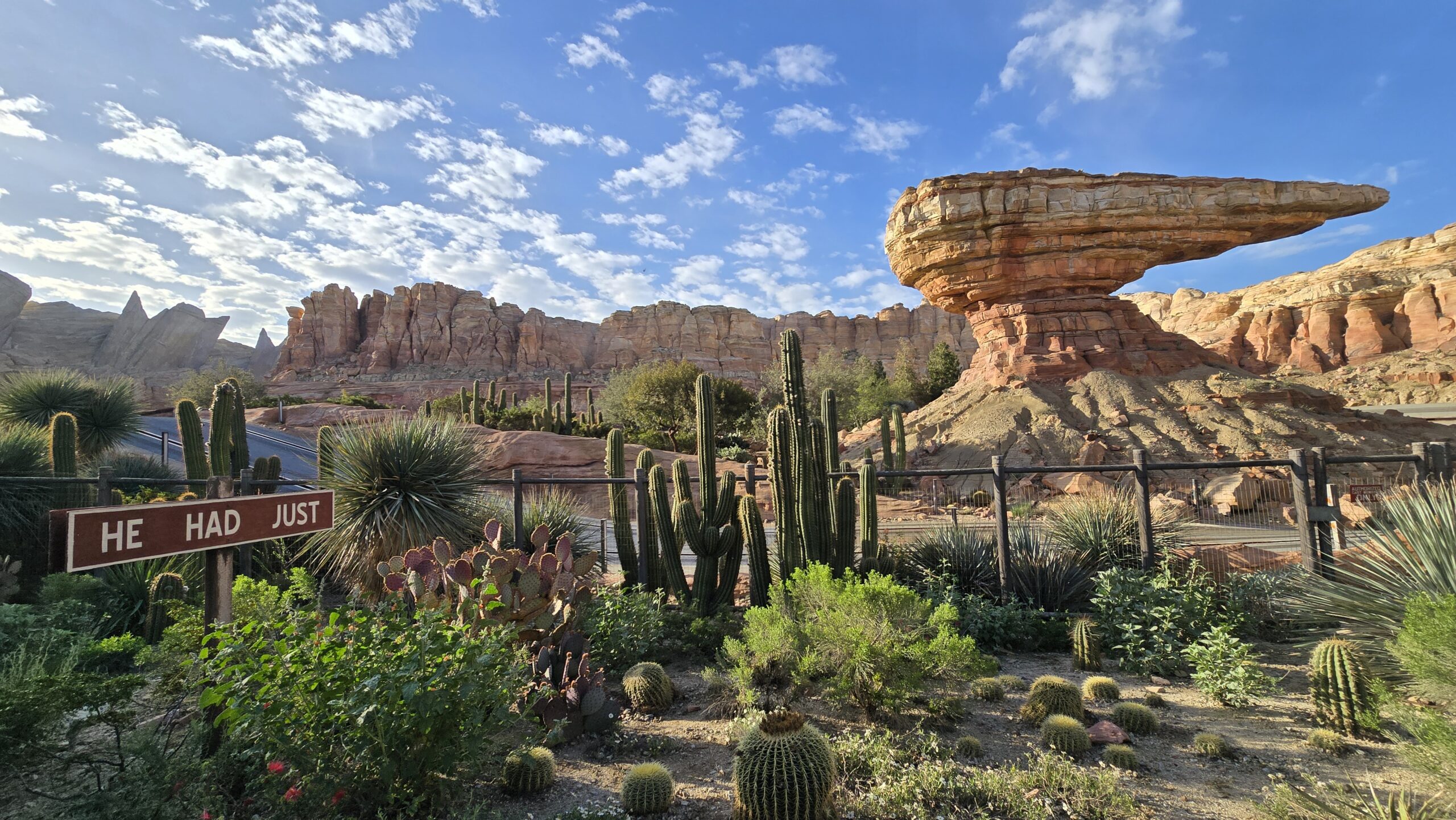Radiator Springs Racers