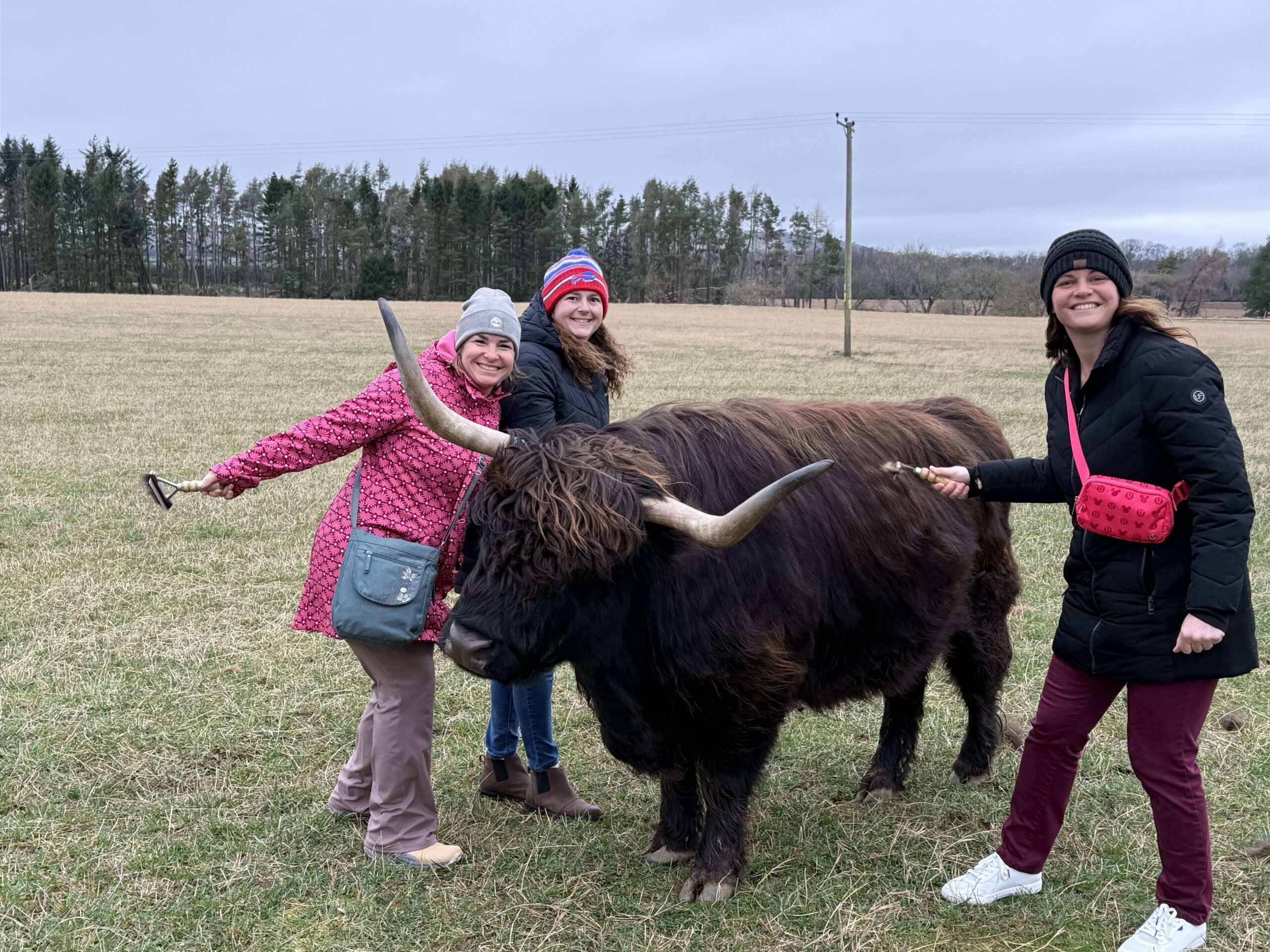 Why Sceptre Vacations Is a Top Tour Operator