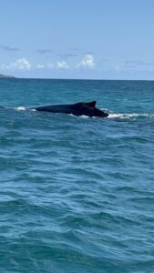 Samaná, Dominican Republic