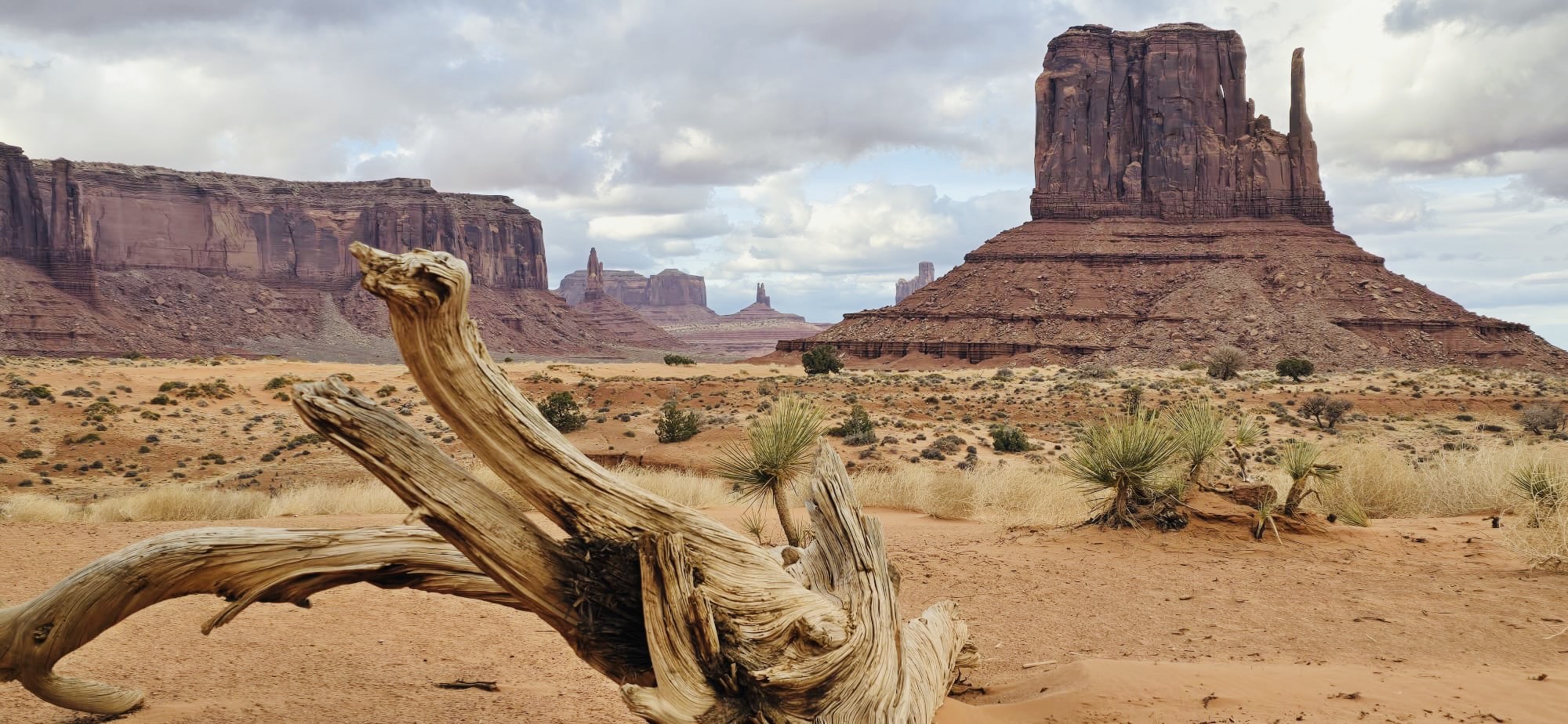 My Adventures by Disney Journey to Arizona & Utah