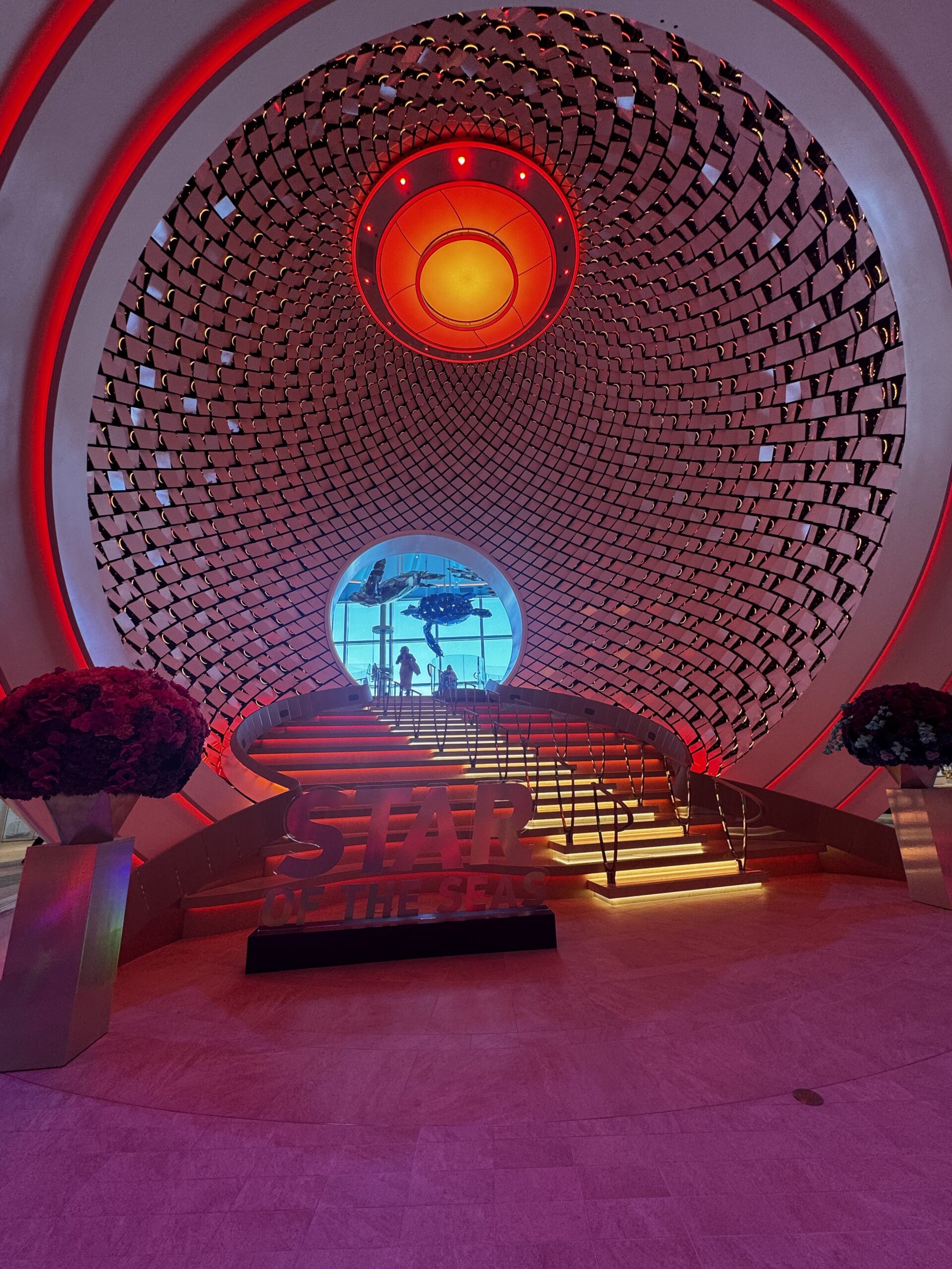  Introducing Star of the Seas