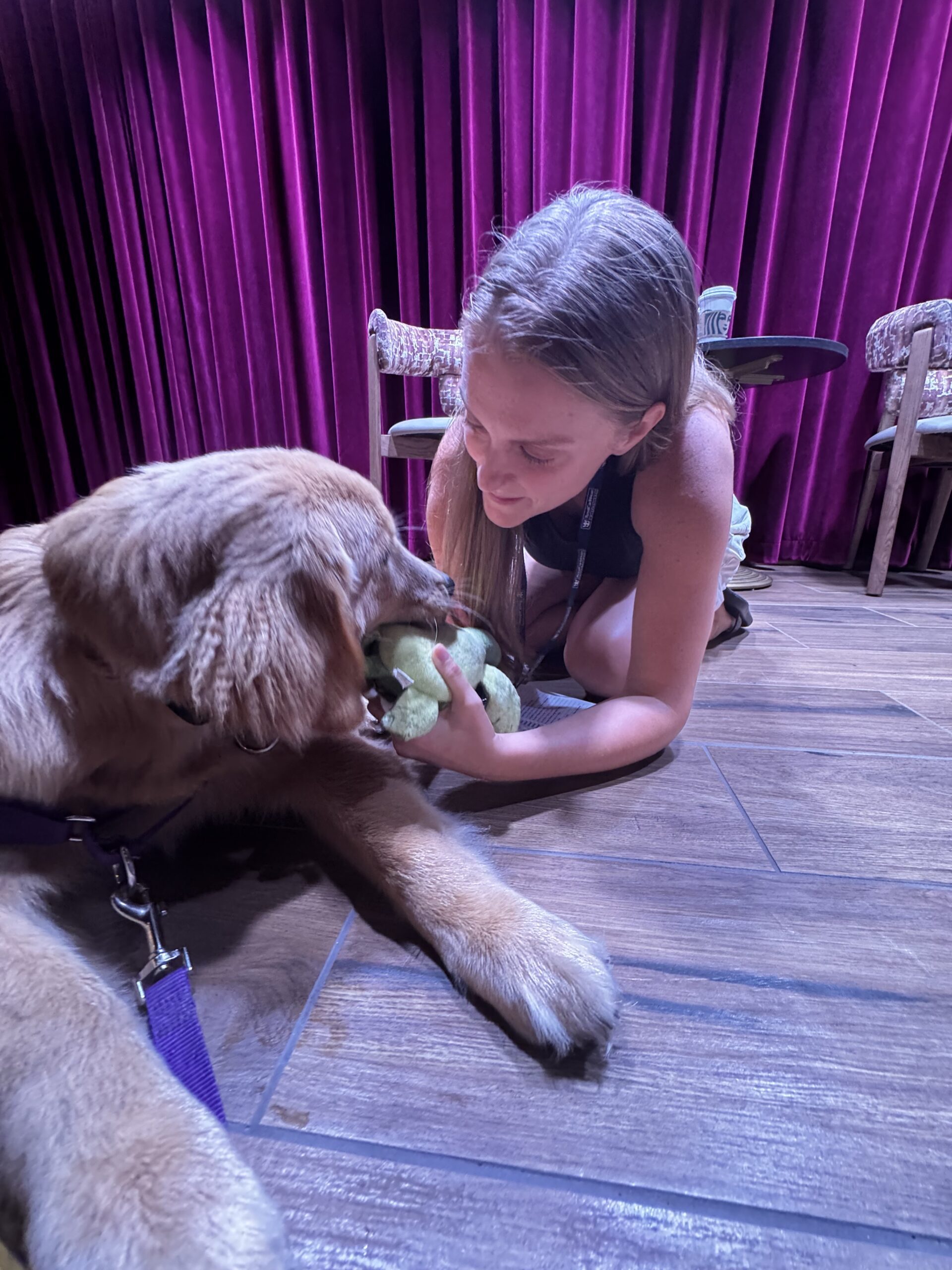 Meet Sailor: The Beloved Pup Aboard Star of the Seas