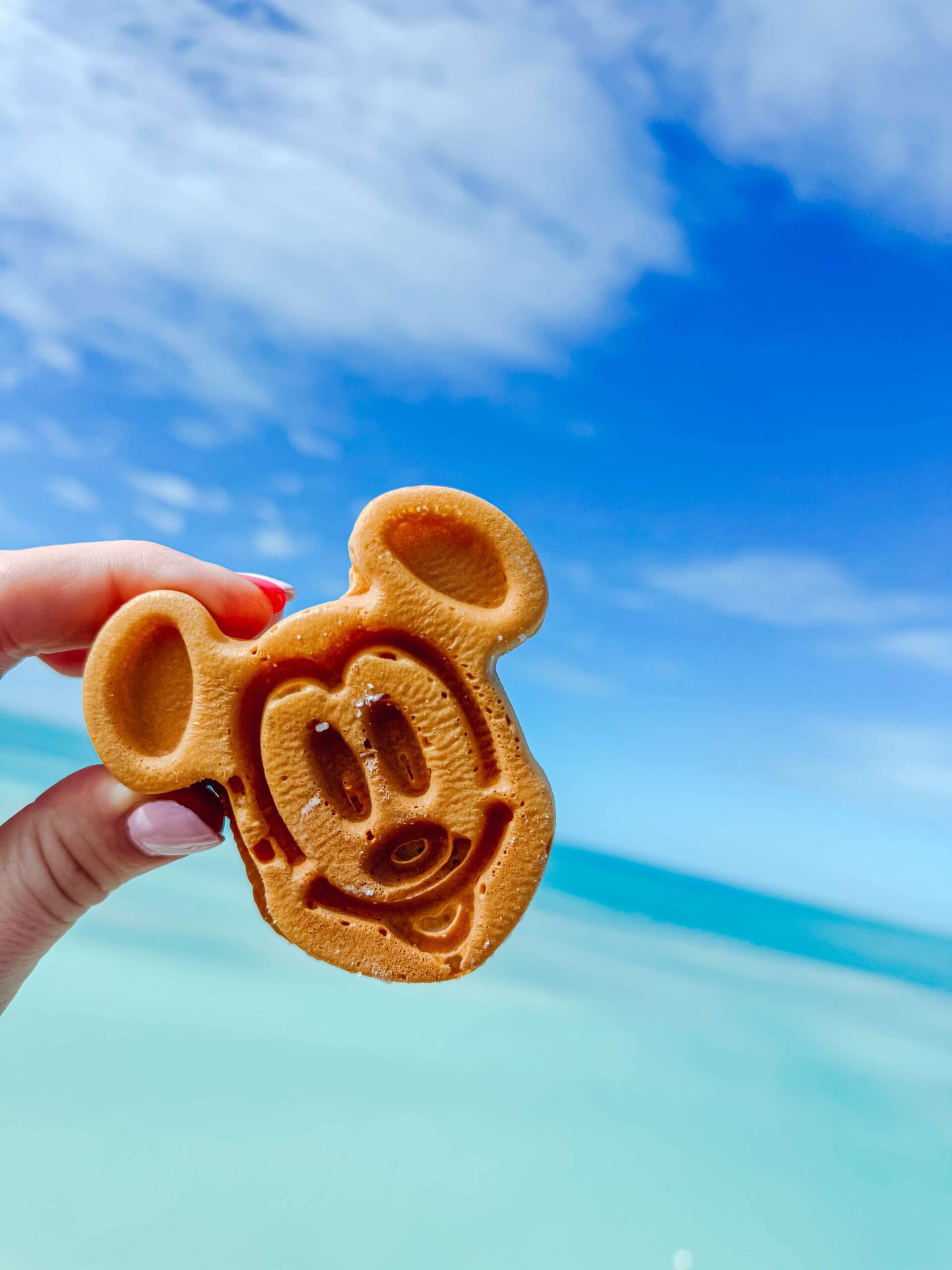 Disney Cruise Line vs Royal Caribbean: Which Cruise Is Right for You?