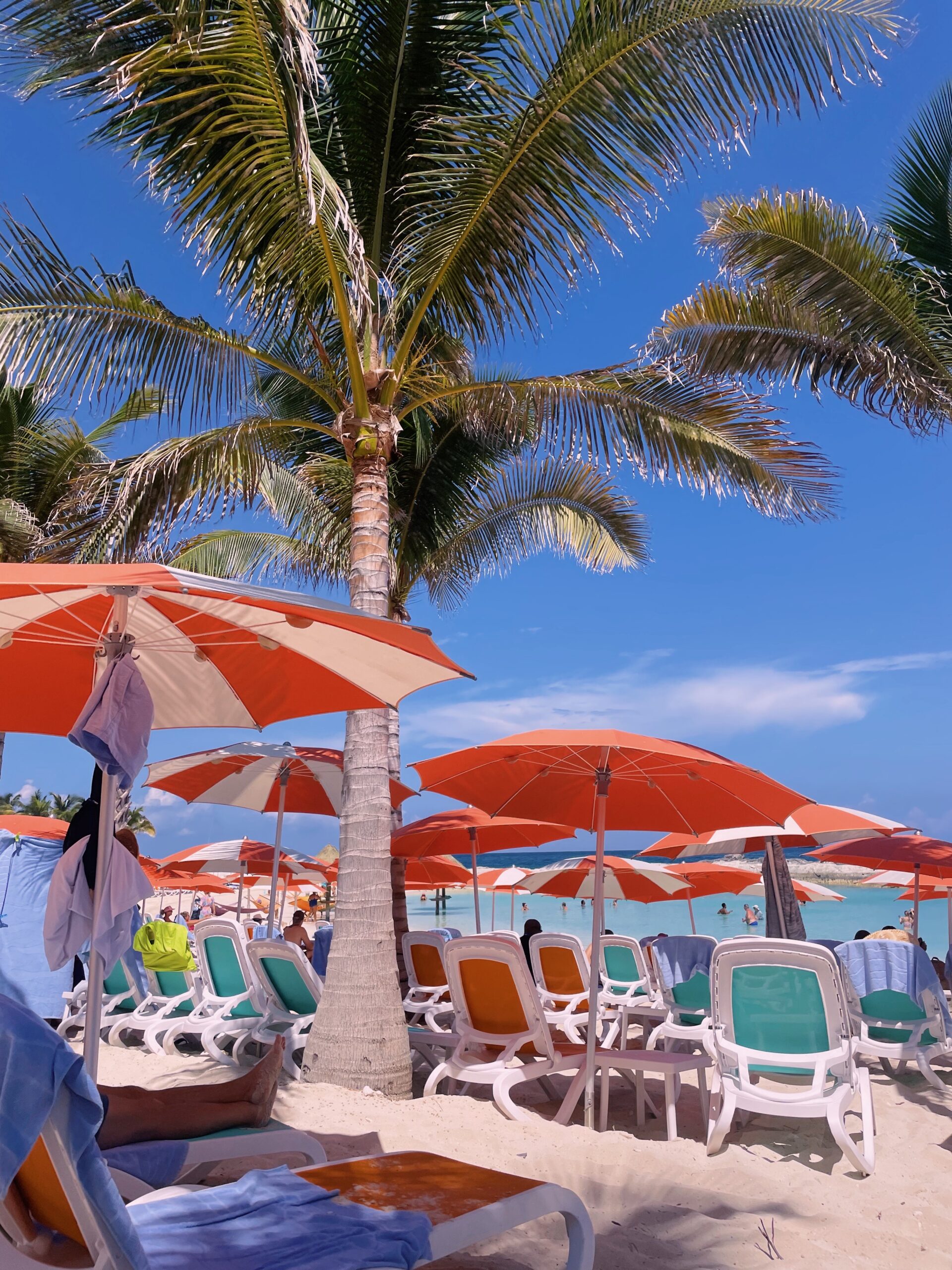 Why Star of the Seas is Perfect for Milestone Celebrations