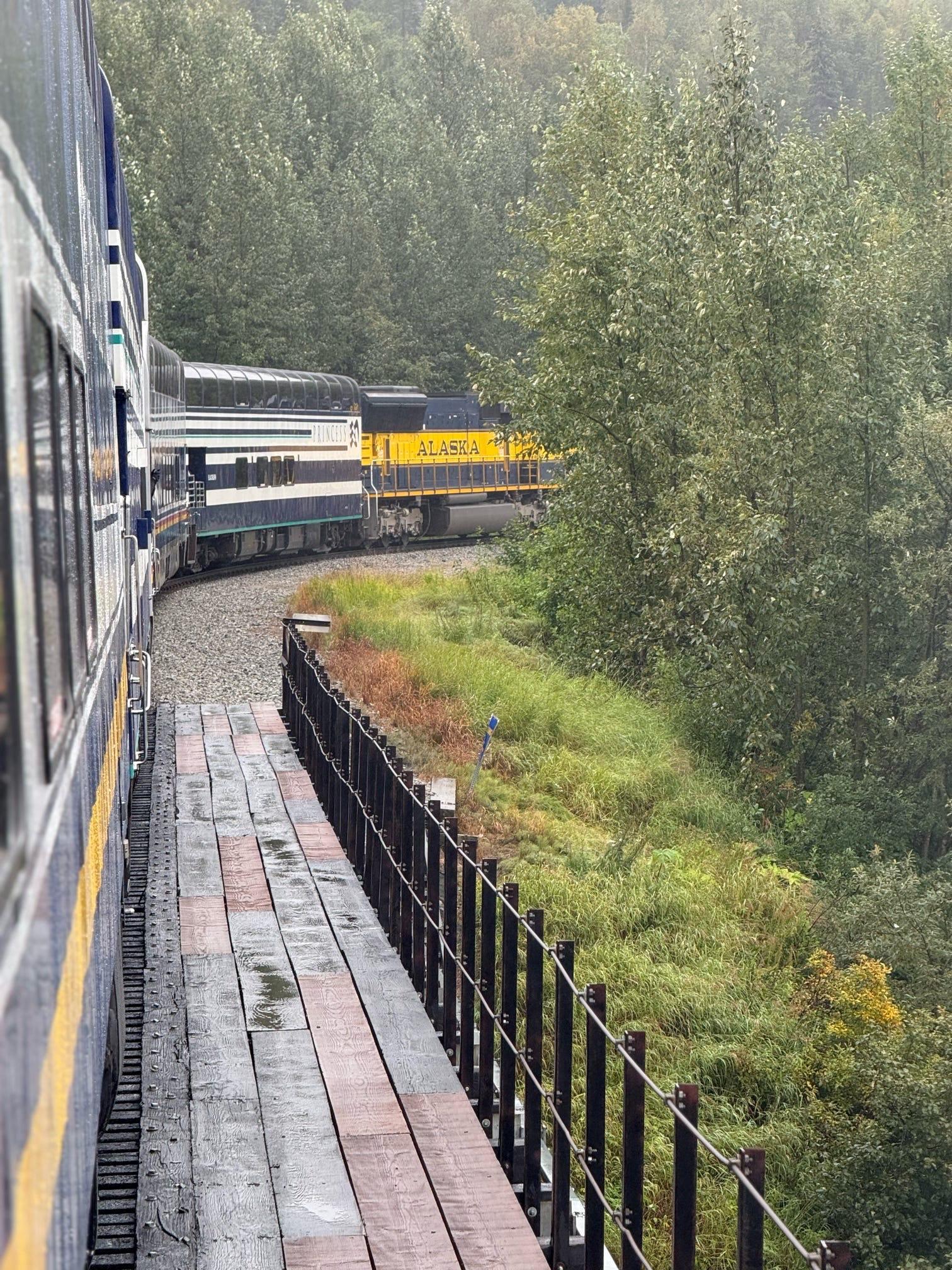 Exploring Alaska with Princess Cruise Line’s Land Tour