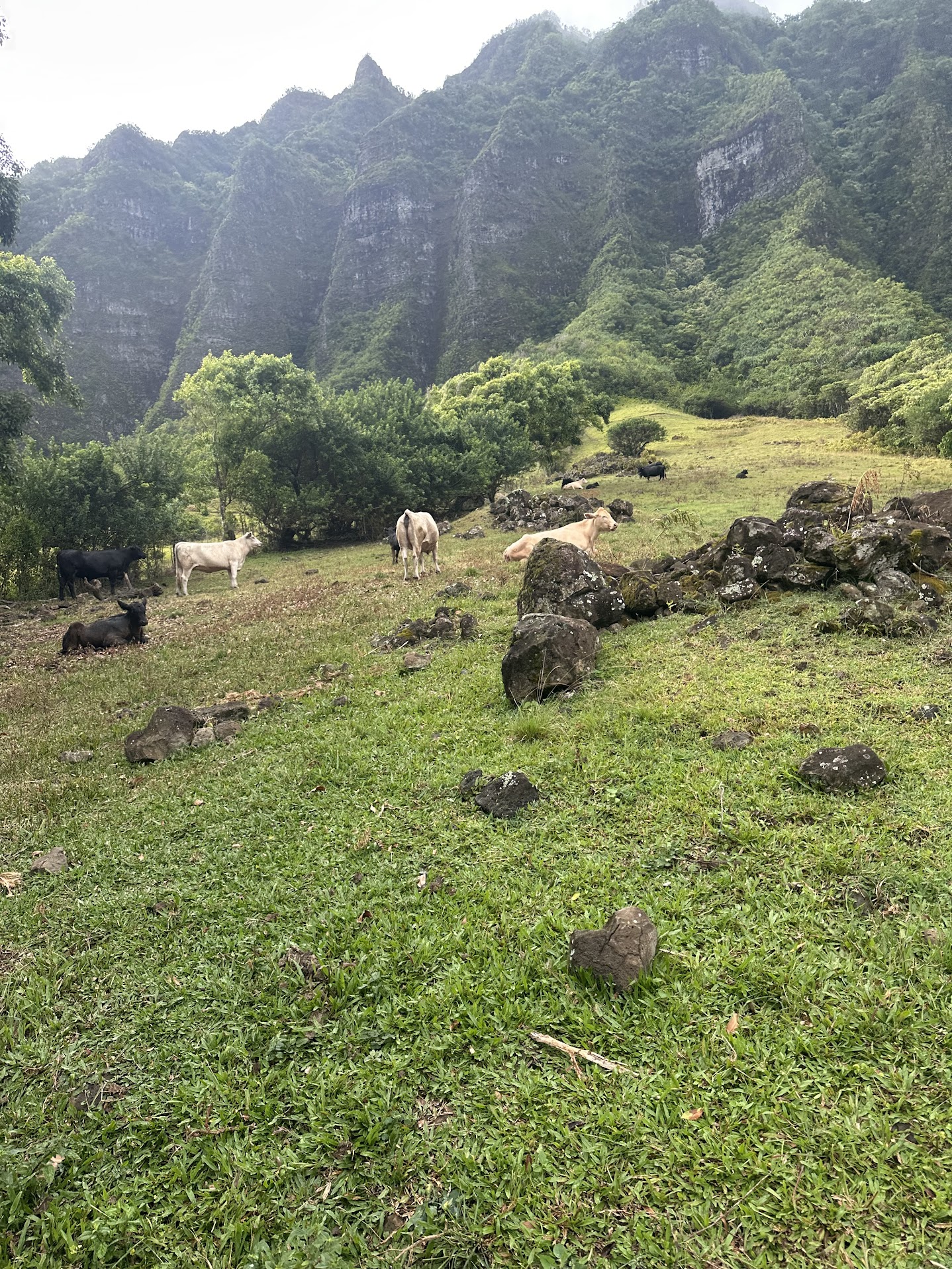 A Day at Kualoa Ranch