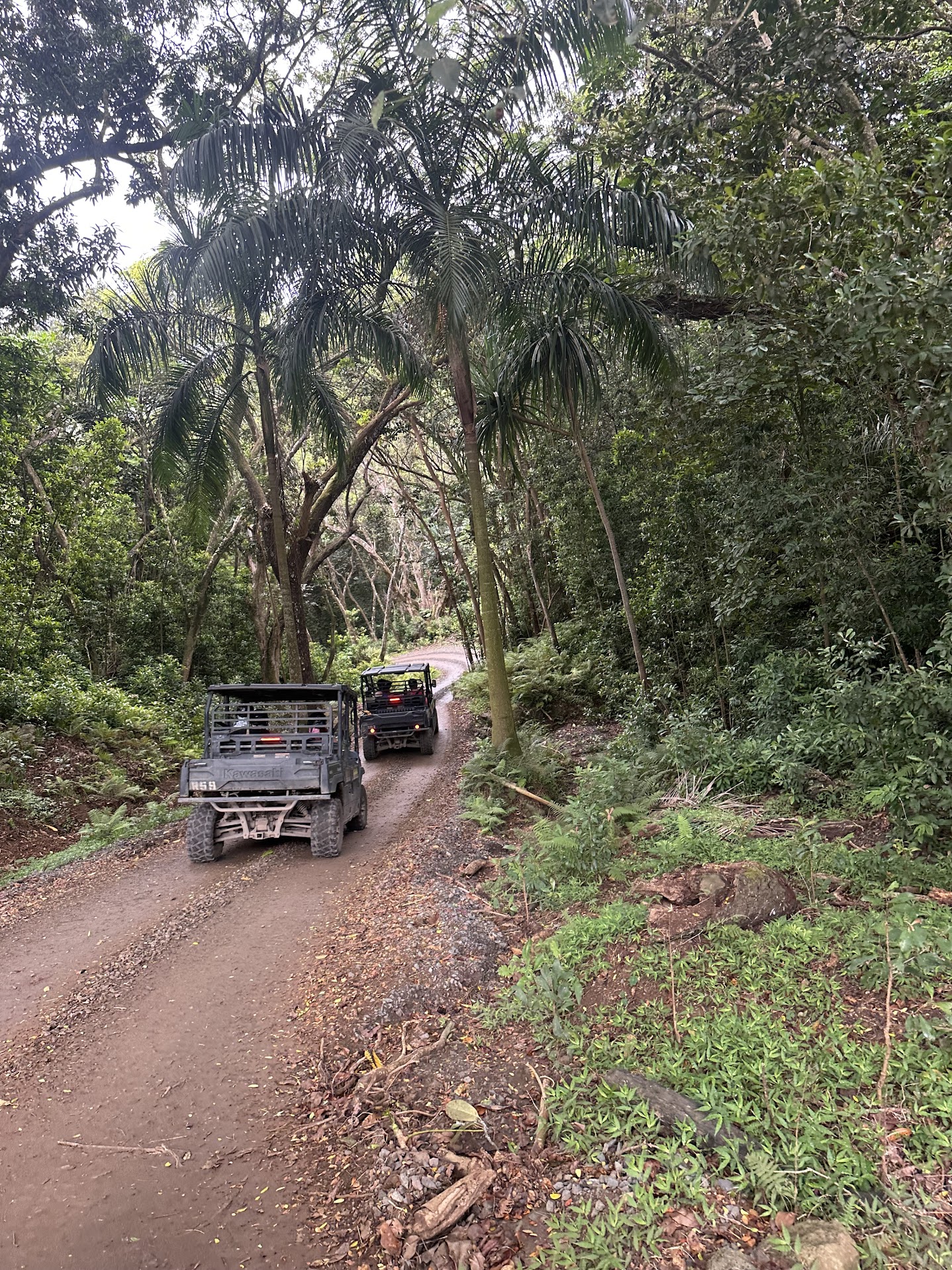 A Day at Kualoa Ranch UTV Tour