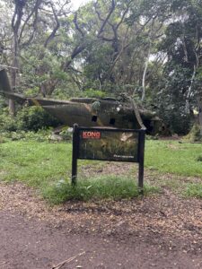 A Day at Kualoa Ranch Kong