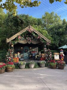 8 Insider Tips for Planning the Perfect Walt Disney World Holiday Vacation