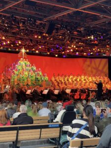 8 Insider Tips for Planning the Perfect Walt Disney World Holiday Vacation
