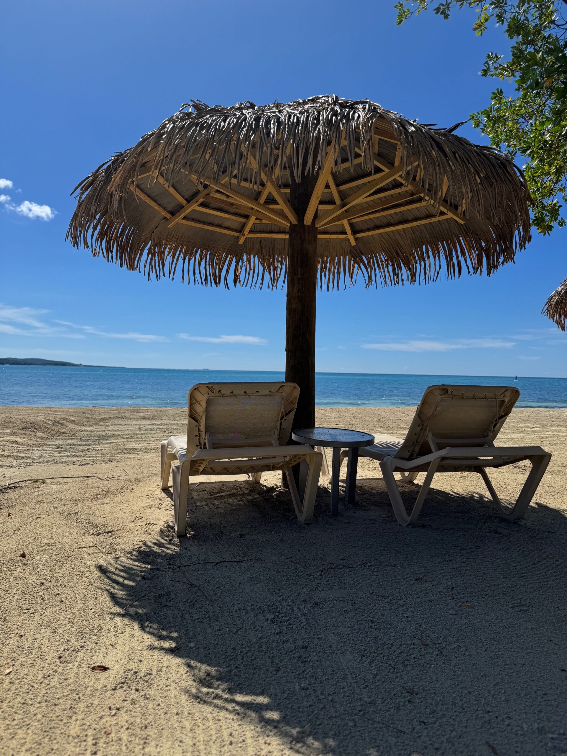 Marvelous Mouse Travels Shines at the Rising Stars Event in Jamaica! 