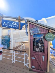 Disney Destiny Pool Deck Guide: Best Family and Adult Activities Onboard