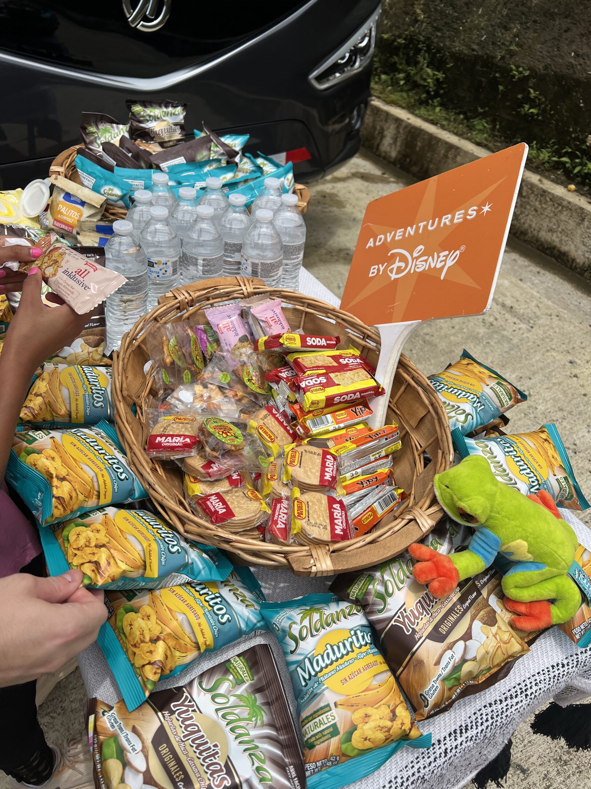 Adventures by Disney Costa Rica Review: A Stress-Free Family Adventure Costa Rica Snacks