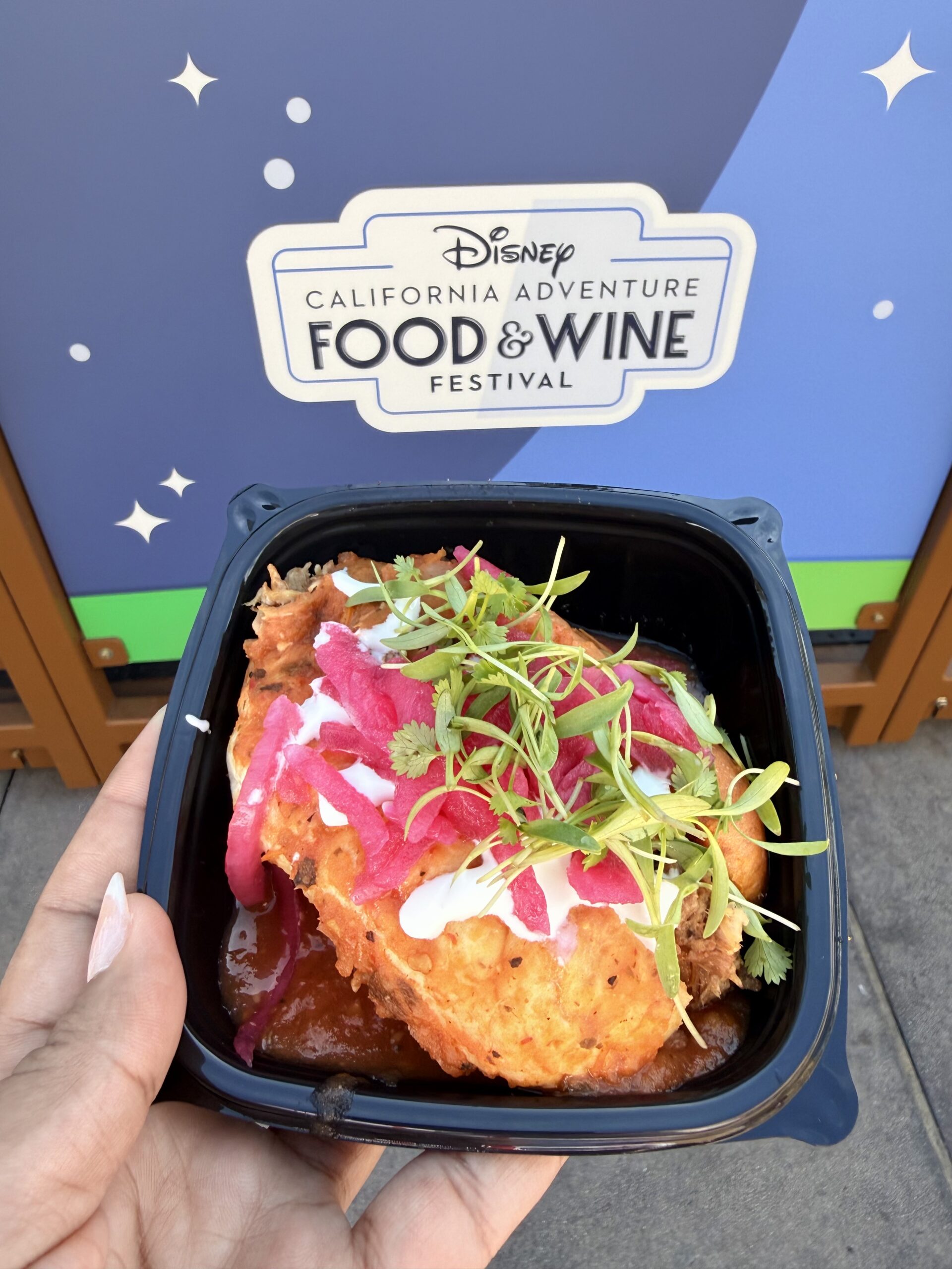 Disney California Adventure Food & Wine Festival