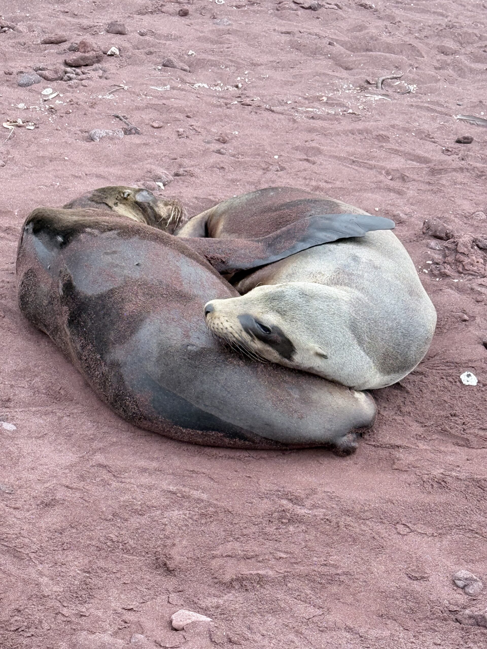 National Geographic / Linblad Galápagos Expedition