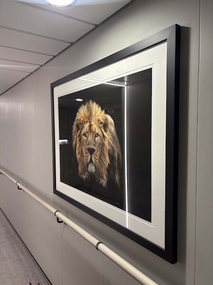 “The King of Kings” – Pedro Jarque Krebs